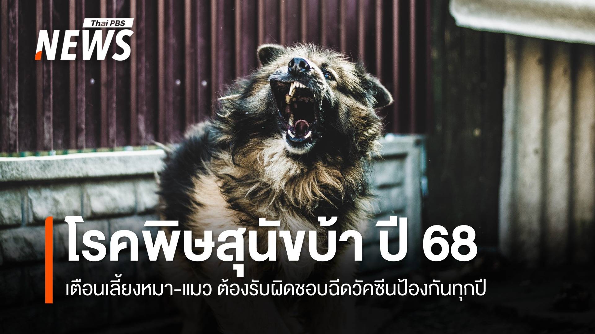 ปี 2568 ไทยพบ "โรคพิษสุนัขบ้า" ในสัตว์แล้ว 204 ตัว