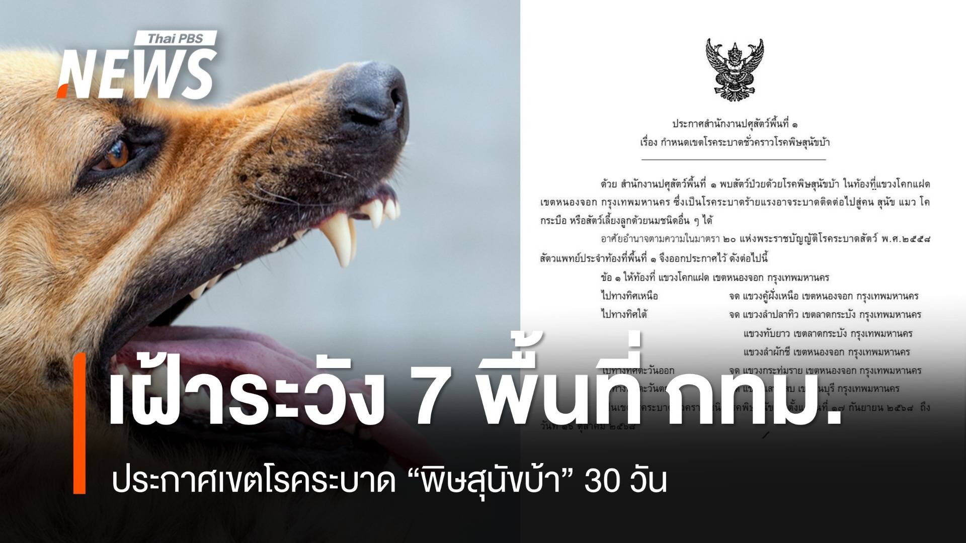 ประกาศเขตโรคระบาด "พิษสุนัขบ้า" 7 พื้นที่ กทม.