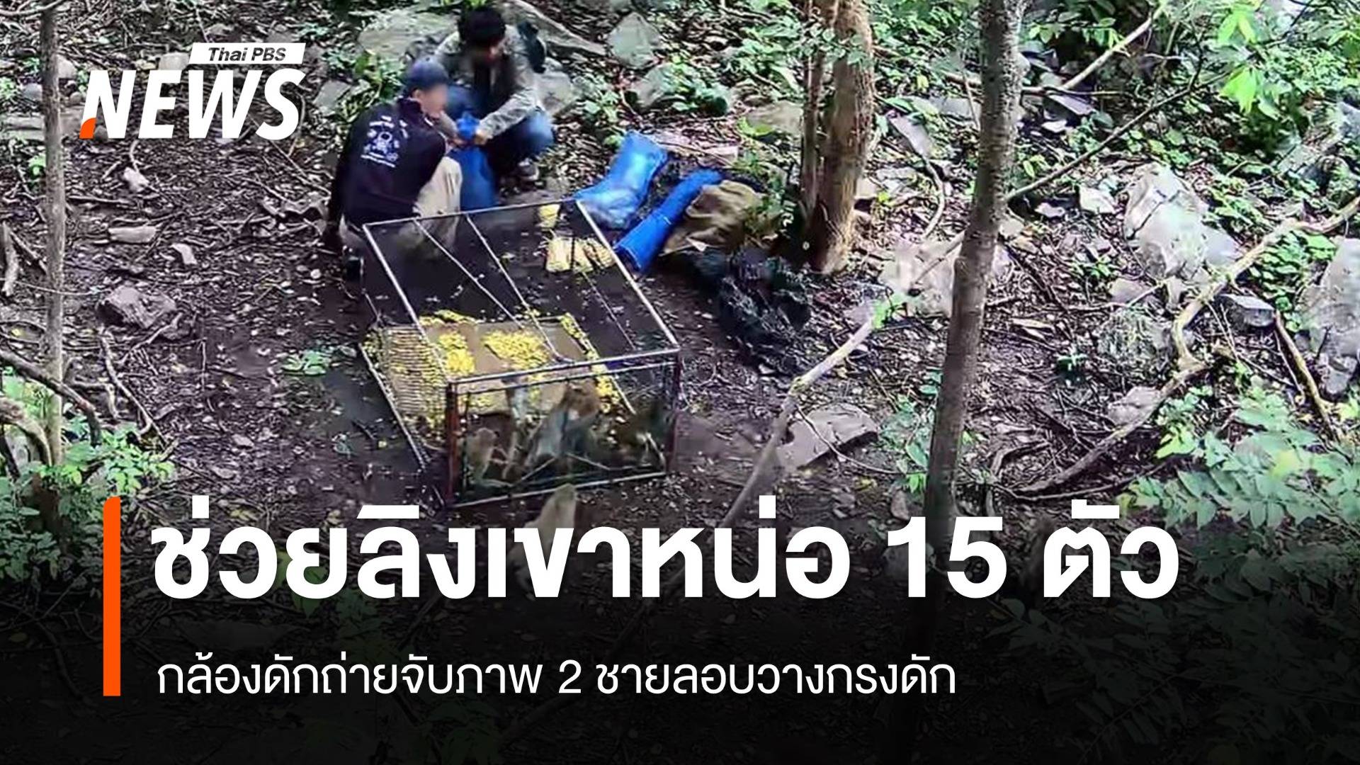 ช่วย "ลิงเขาหน่อ" 15 ตัว หลังกล้องดักถ่ายจับภาพชายลอบล่า