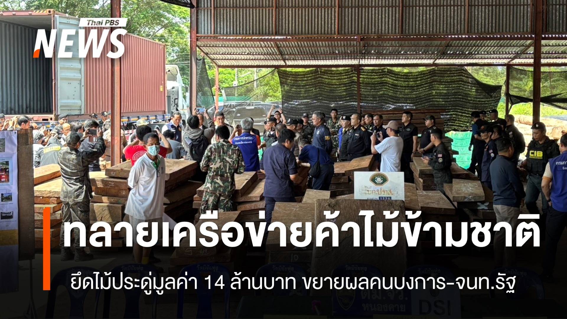 ทลายเครือข่ายทุนจีน-เวียดนามค้าไม้ข้ามชาติ ยึด "ไม้ประดู่" มูลค่า 14 ล้าน