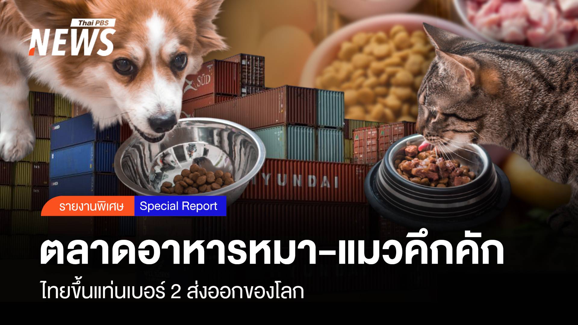 ตลาดอาหารหมา-แมวคึกคัก ไทยขึ้นแท่นเบอร์2 ส่งออกโลก
