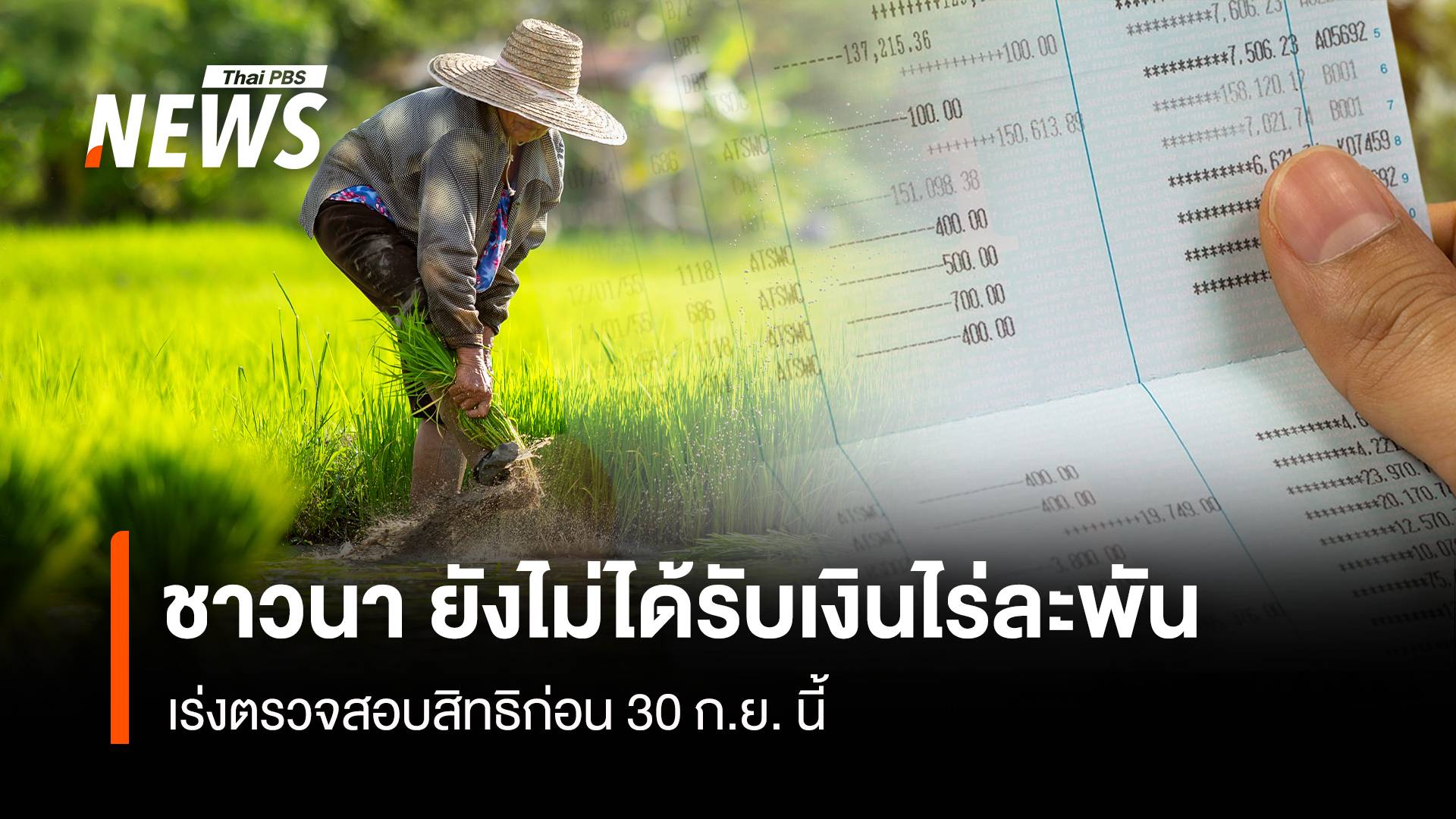 ชาวนา ยังไม่ได้รับเงินไร่ละพัน เร่งตรวจสอบสิทธิก่อน 30 ก.ย.