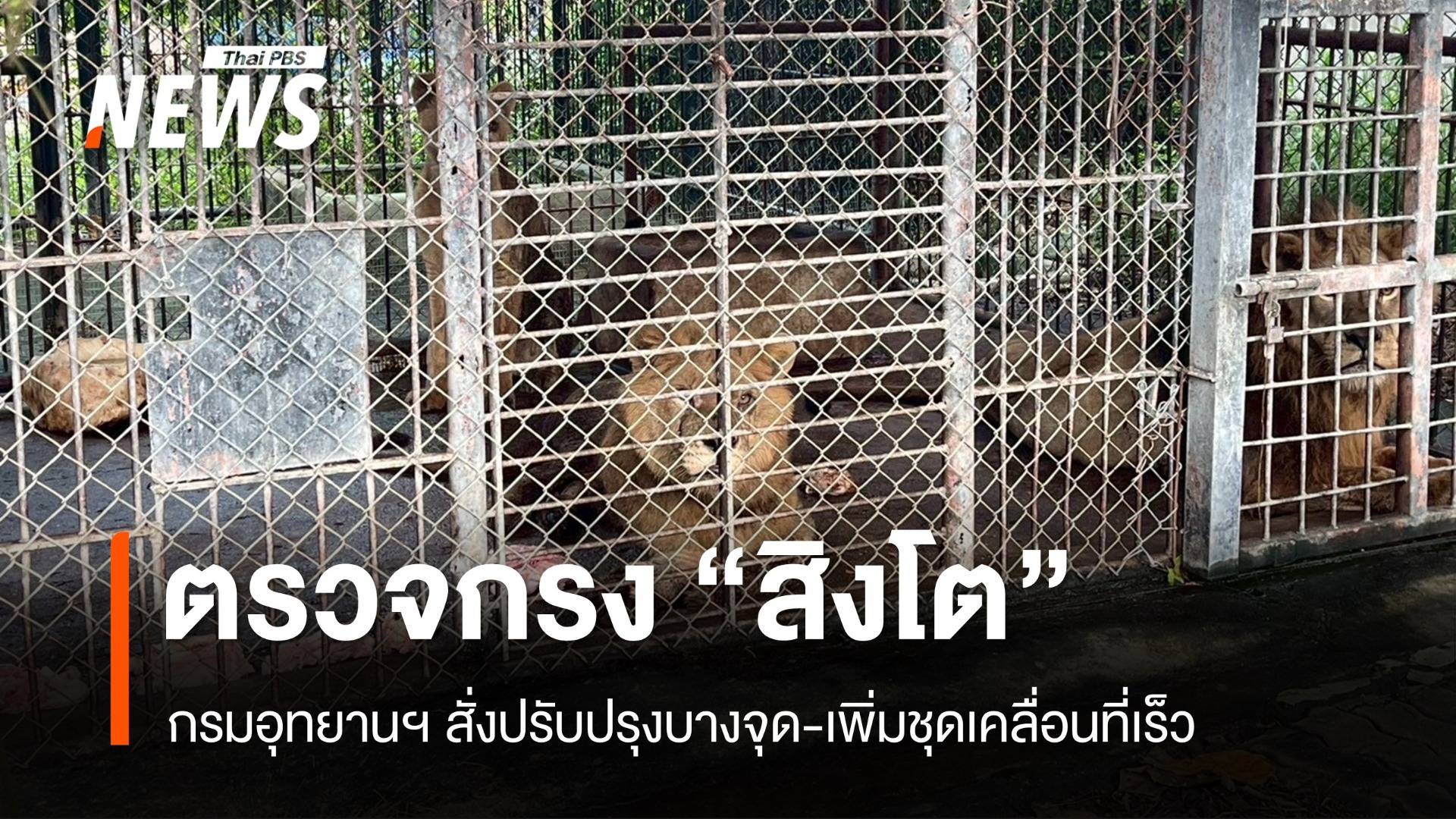 กรมอุทยานฯ ตรวจกรงสิงโต สั่งปรับปรุงบางจุด-เพิ่มชุดเคลื่อนที่เร็ว