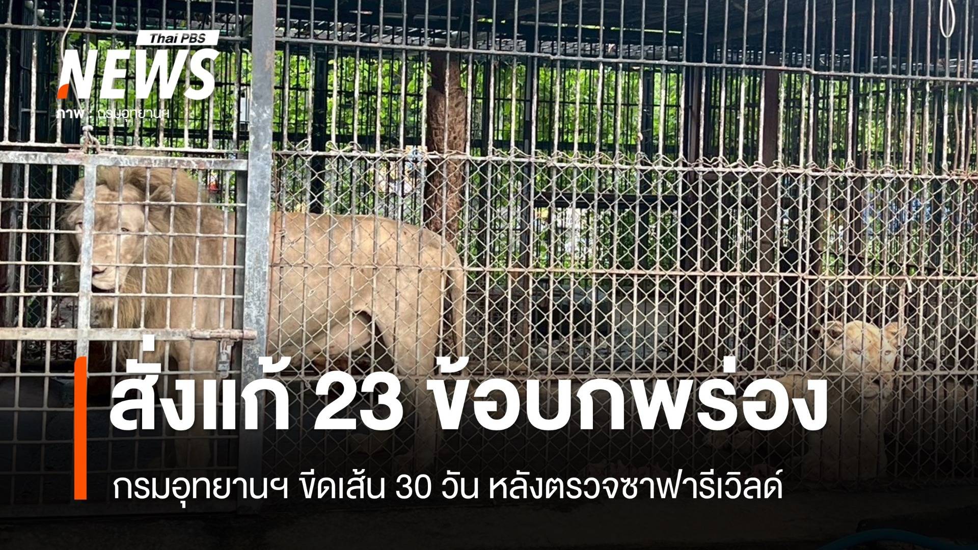 ตรวจกรงเสือ-สิงโต พบตกมาตรฐาน สั่งแก้ 23 ข้อบกพร่องภายใน 30 วัน