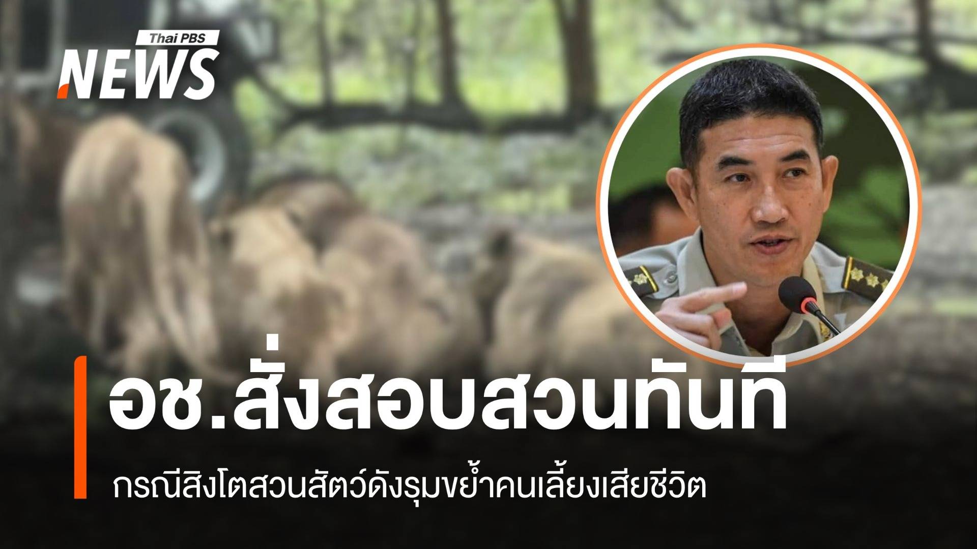 อธิบดีกรมอุทยานฯ สั่งสอบสวนเหตุสิงโตสวนสัตว์รุมขย้ำคนเลี้ยง