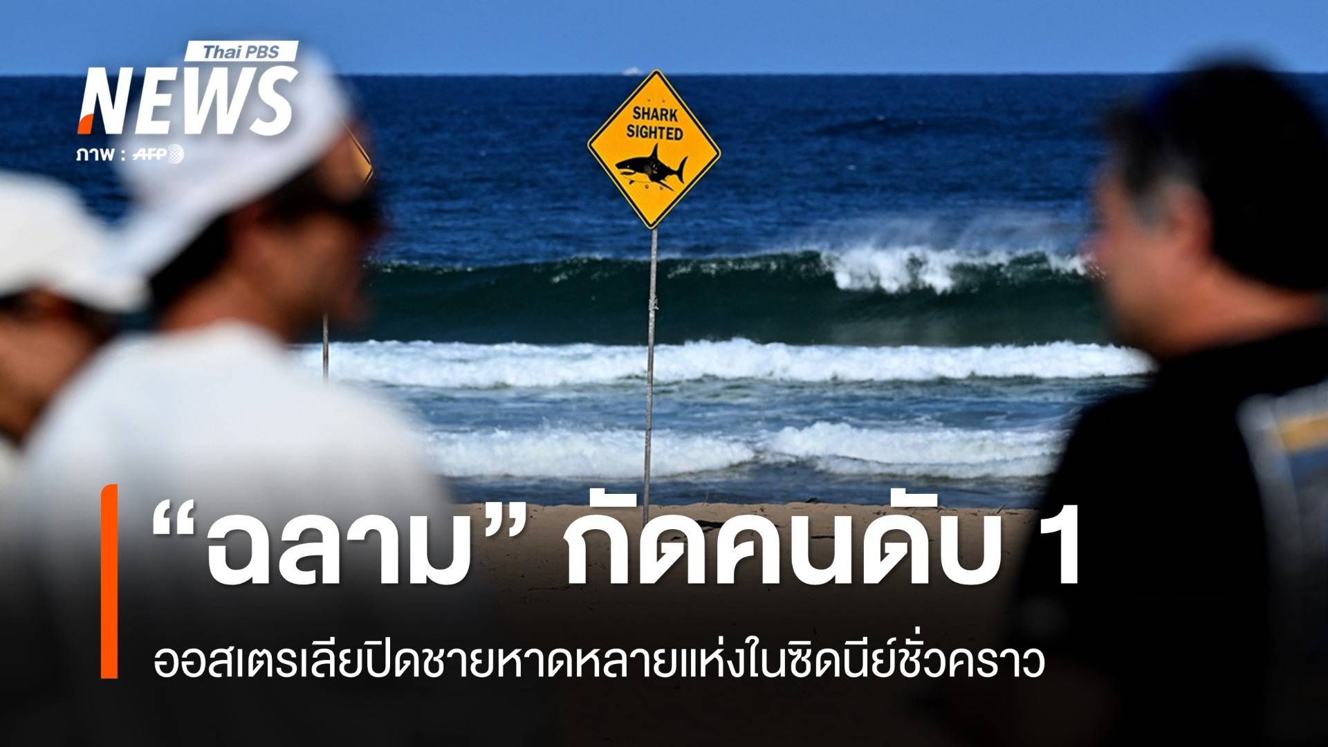 "ออสเตรเลีย" ปิดหาดในซิดนีย์ "ฉลาม" โจมตีนักเล่นเซิร์ฟดับ