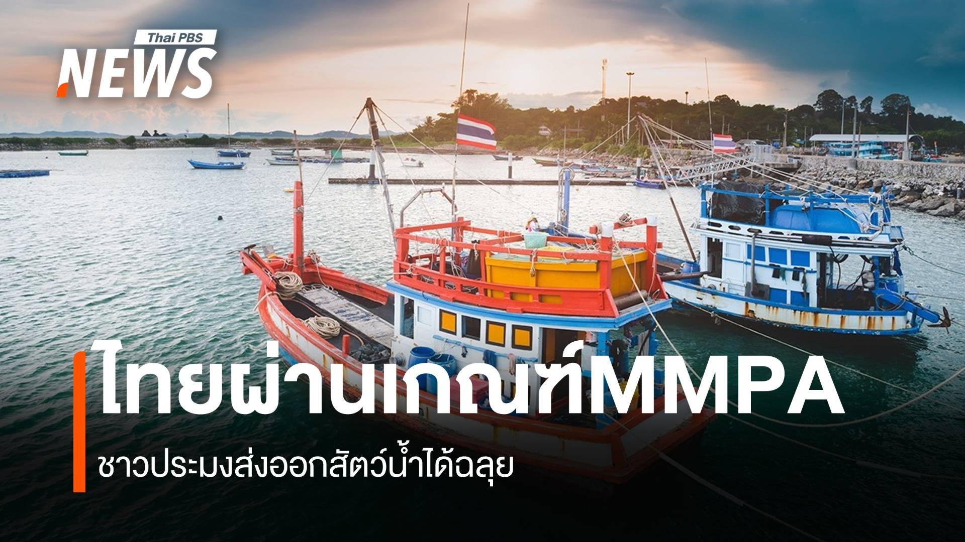 ไทยส่งออกสัตว์น้ำได้ฉลุย หลังสหรัฐฯประกาศผ่านเกณฑ์ MMPA