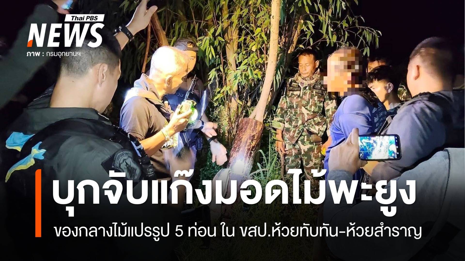 บุกจับแก๊งมอดไม้พะยูง ขสป.ห้วยทับทัน​-ห้วยสำราญ