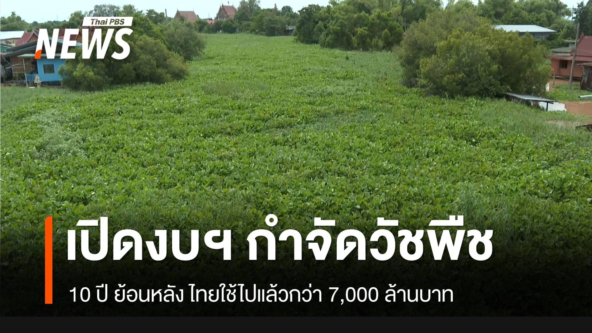 เปิดงบฯ “กำจัดวัชพืช” ทั่วประเทศ 10 ปี ใช้ไปแล้วกว่า 7,000 ล้านบาท
