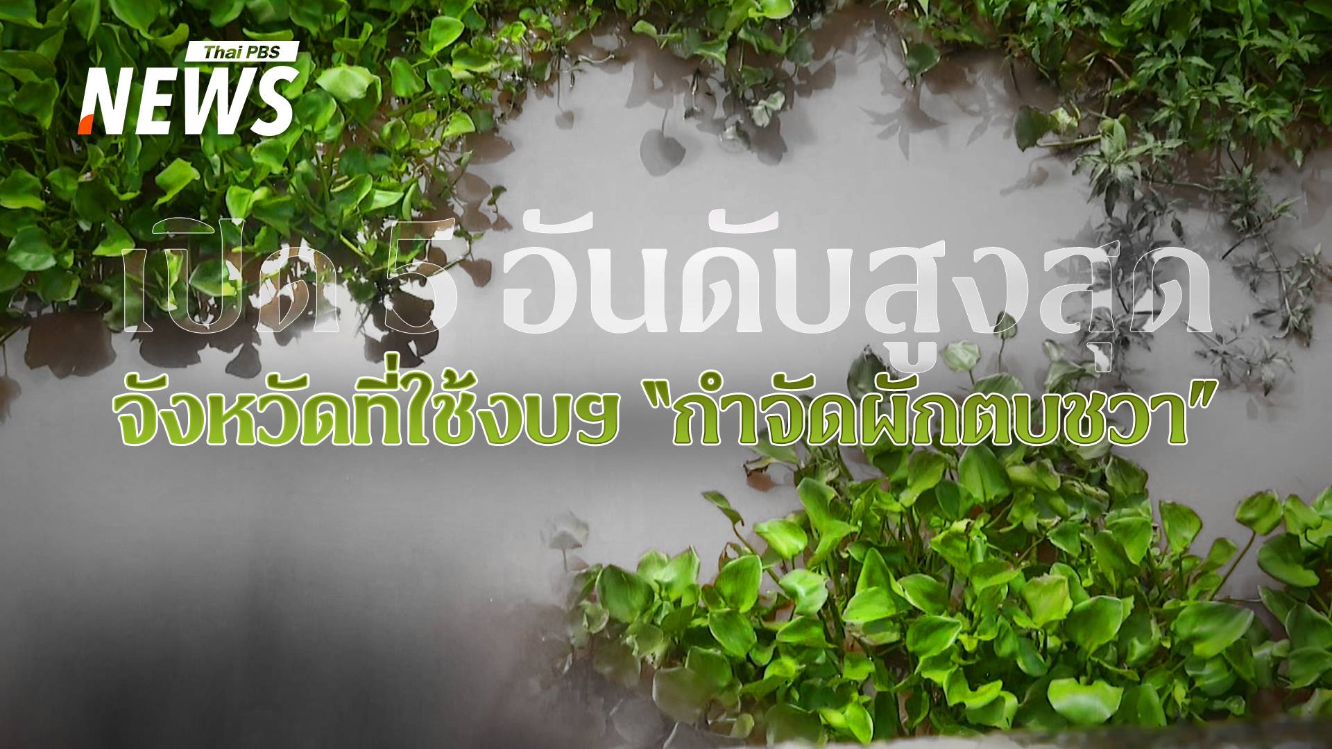 เปิด 5 อันดับสูงสุด จังหวัดที่ใช้งบฯ “กำจัดผักตบชวา”