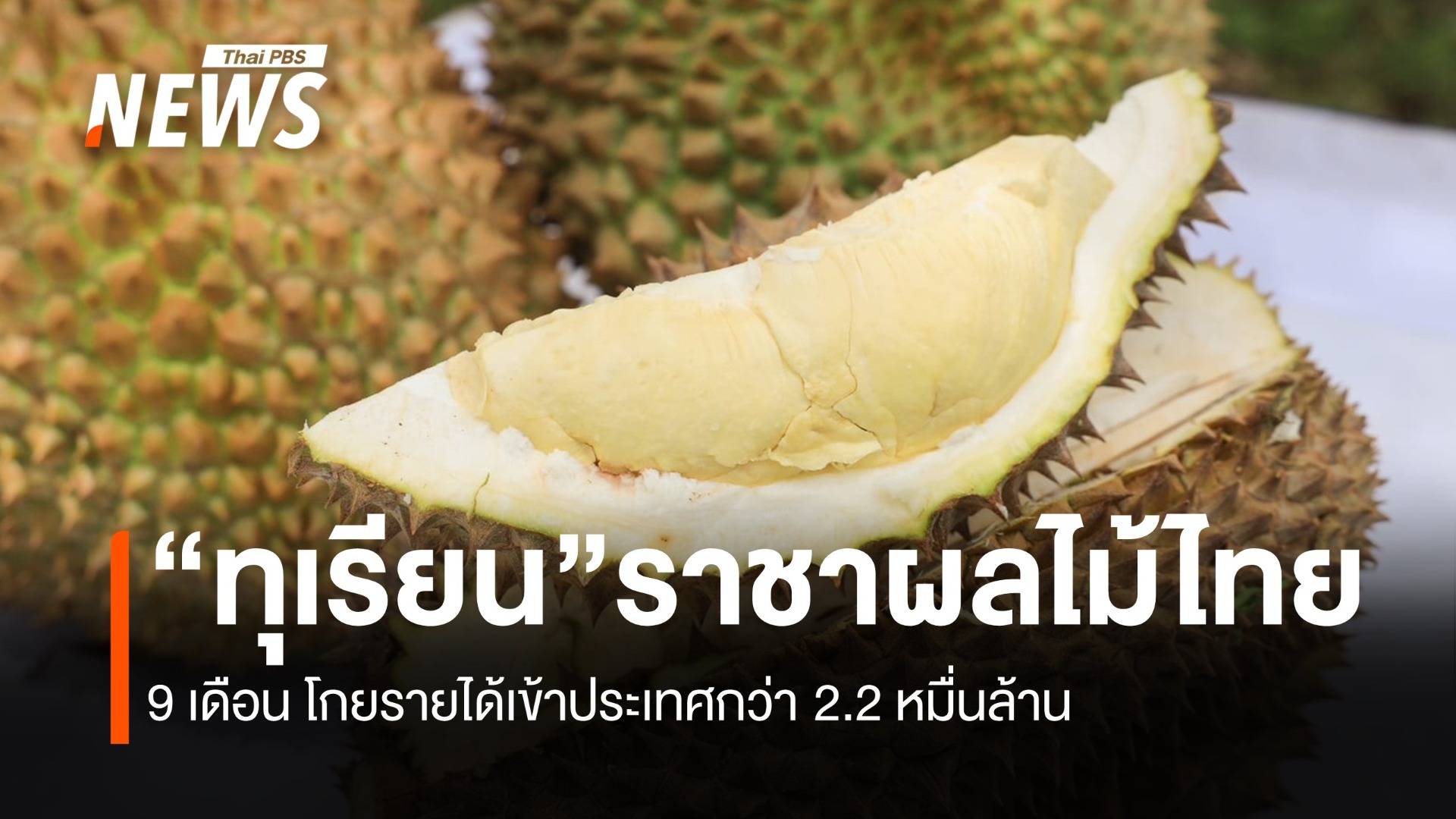 "ทุเรียน" ราชาผลไม้ 9 เดือน โกยรายได้เข้าประเทศกว่า 2.2 หมื่นล้าน