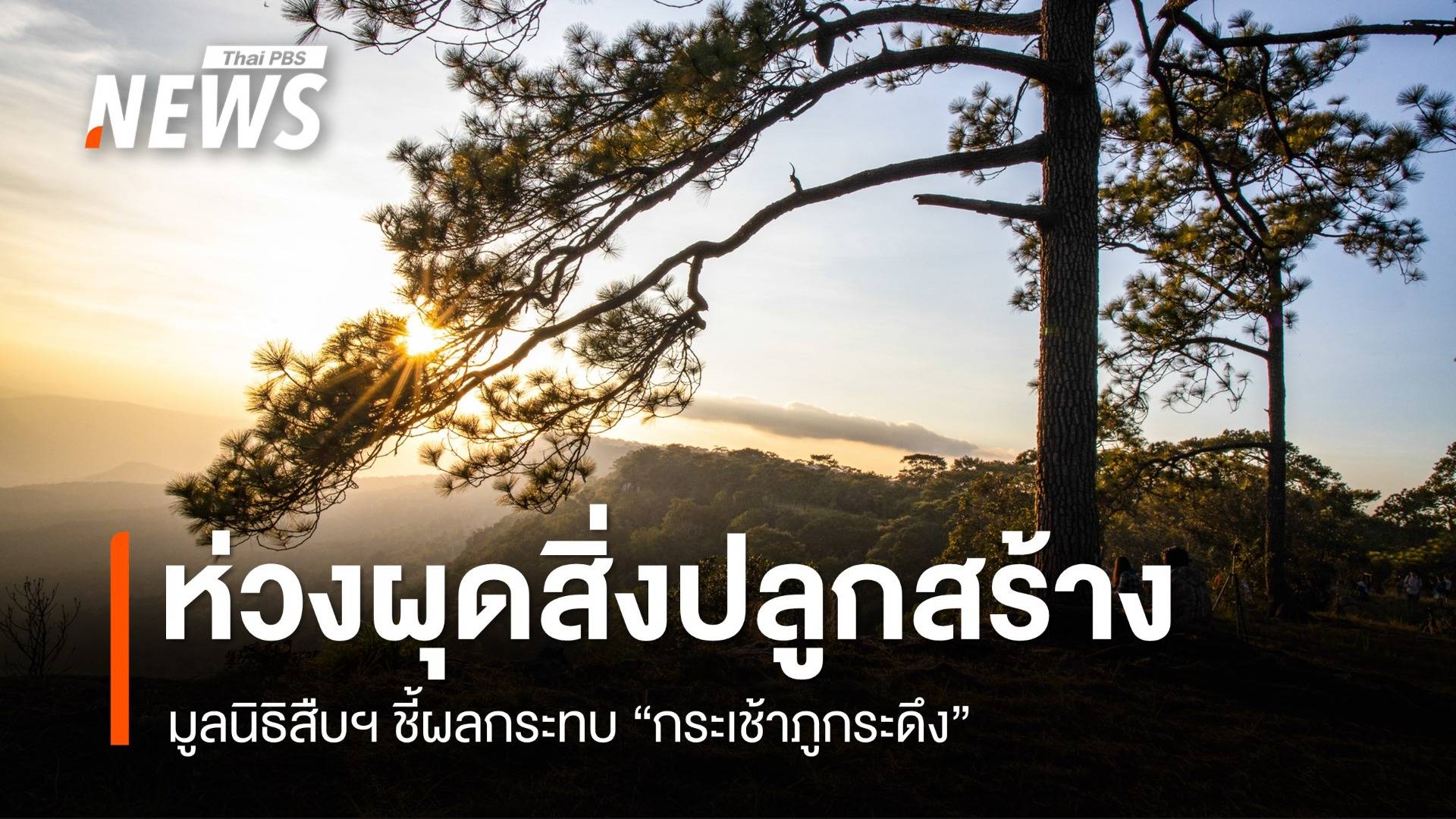 มูลนิธิสืบฯ ห่วงเริ่ม "กระเช้าภูกระดึง" ผุดสิ่งปลูกสร้างกระทบนิเวศ