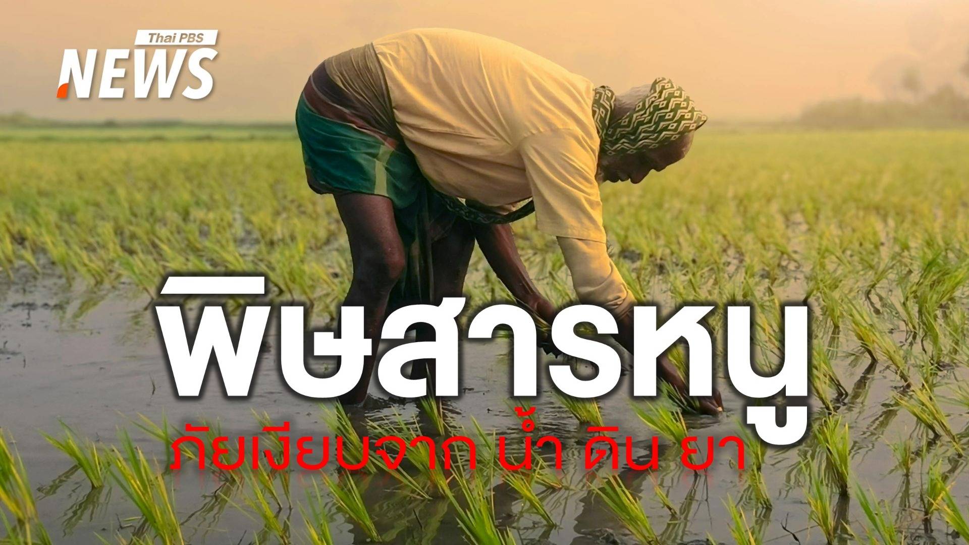 รู้จัก "พิษสารหนู" จากท้องเสียถึงมะเร็งร้ายแรง  
