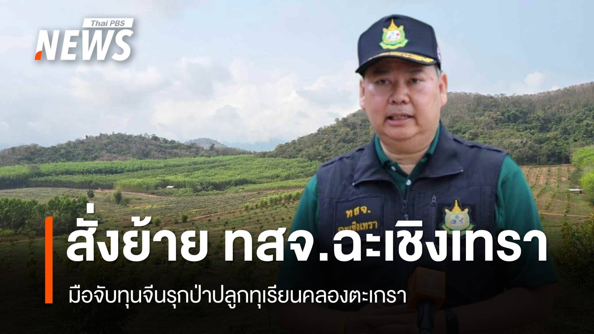 สั่งย้าย ทสจ.ฉะเชิงเทรา มือจับทุนจีนรุกป่าปลูกทุเรียนคลองตะเกรา