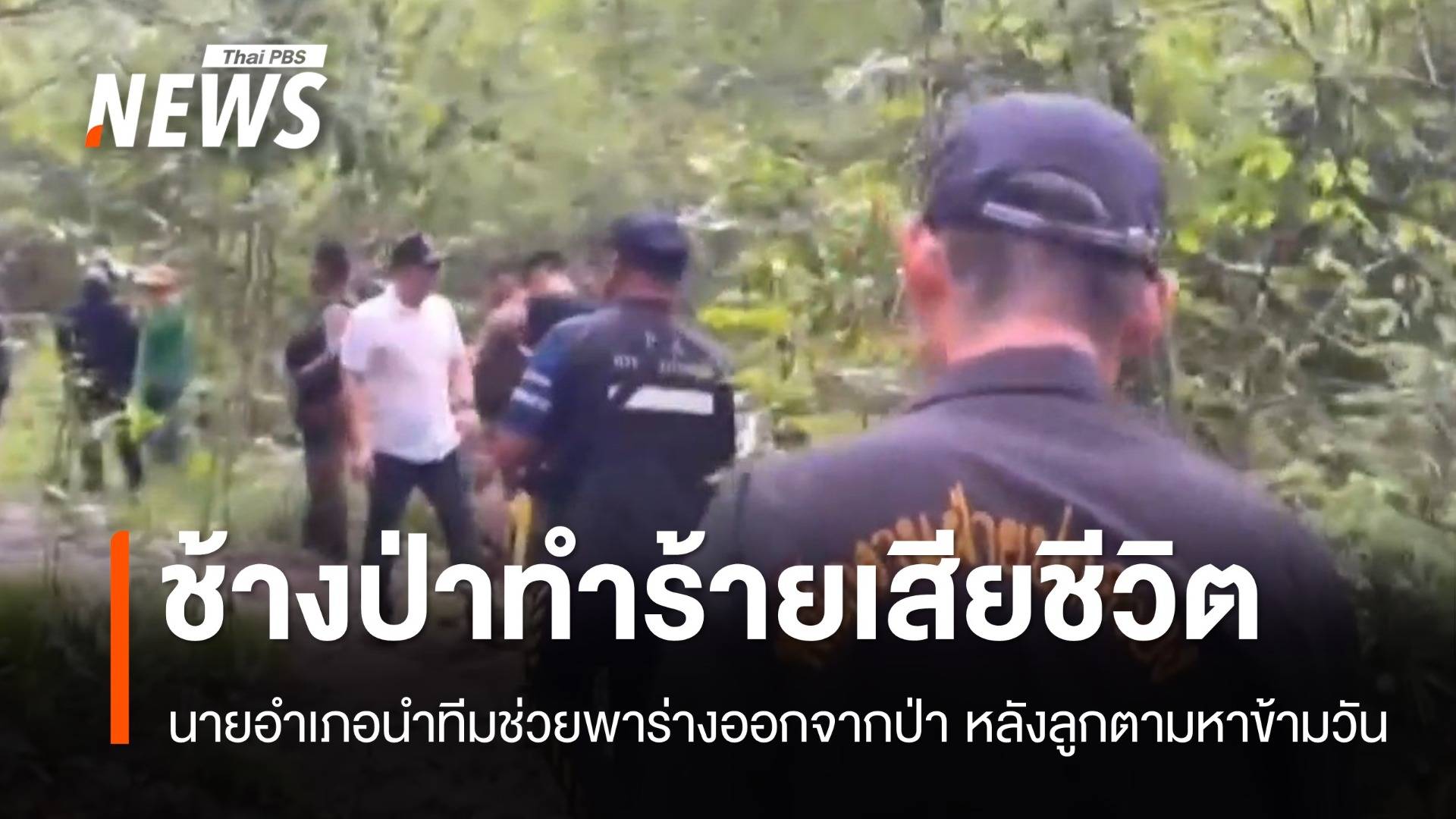 สลด! ชาวบ้านท่าตะเกียบออกไปเก็บพริก ถูกช้างป่าทำร้ายเสียชีวิต