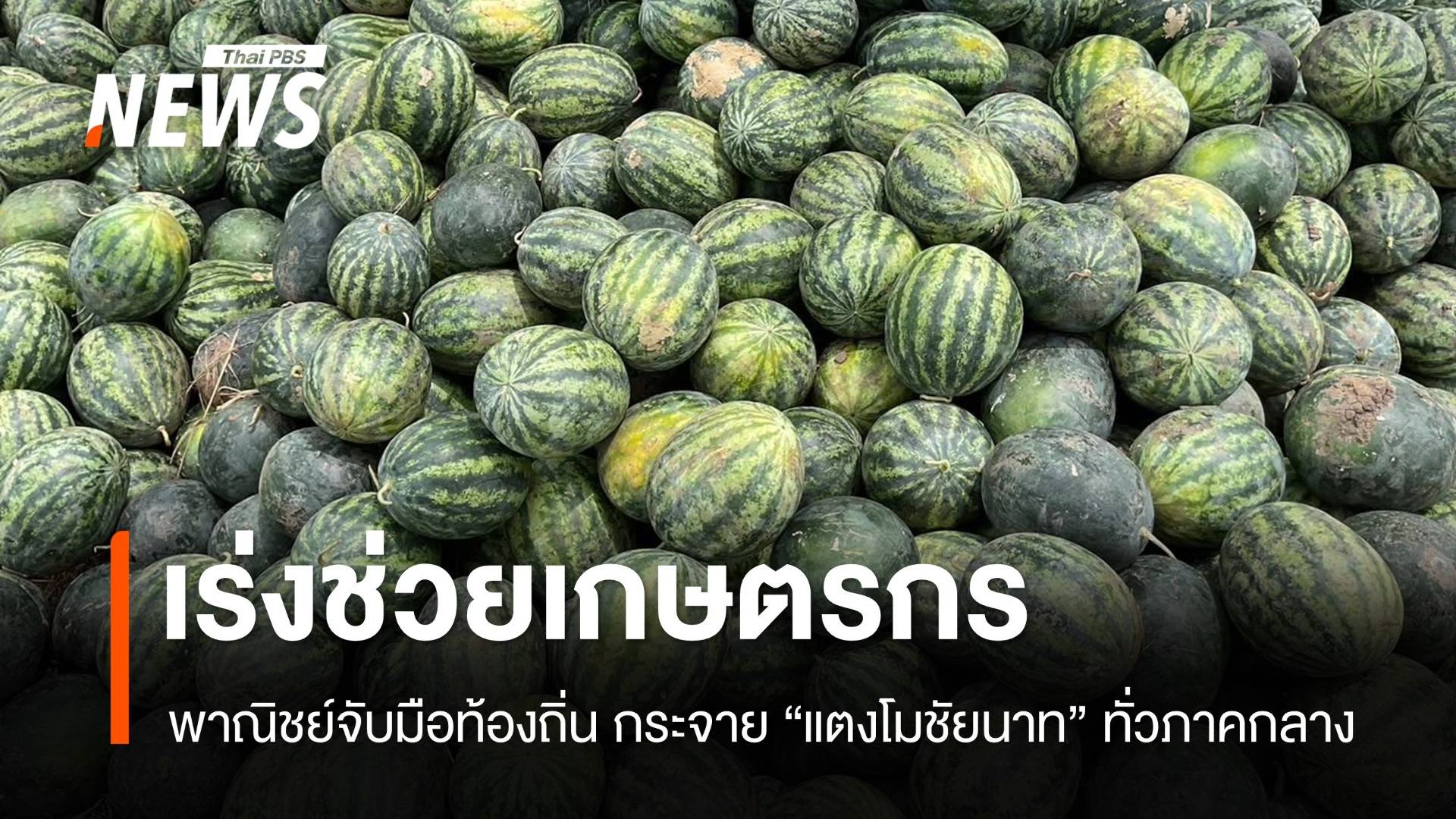 "แตงโมชัยนาท" ราคาตกต่ำ "พาณิชย์" เร่งเชื่อมตลาดช่วยเกษตรกร