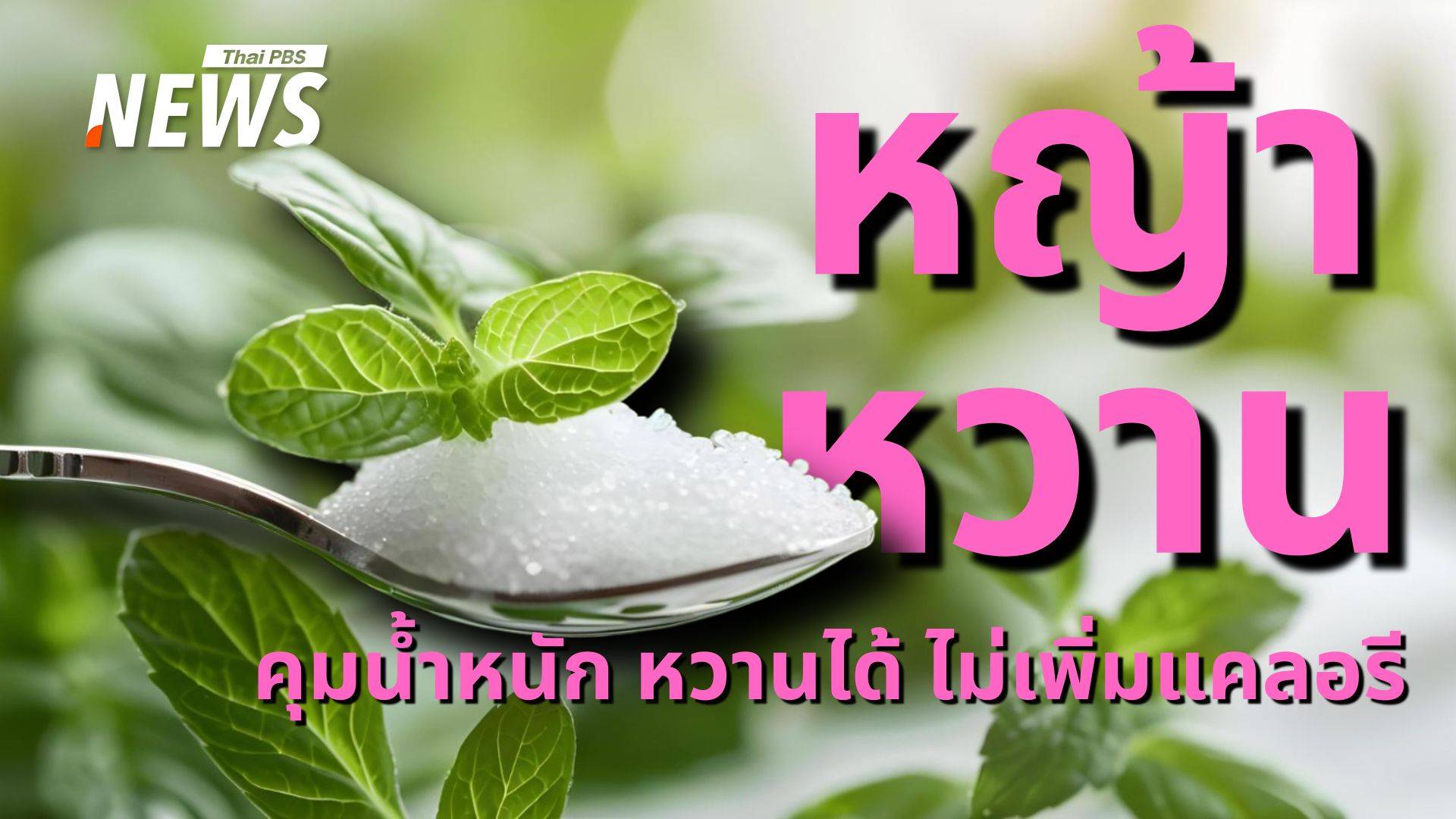 รู้จัก "หญ้าหวาน" สมุนไพรสุดชิก หวานฟิน ไร้แคลอรี