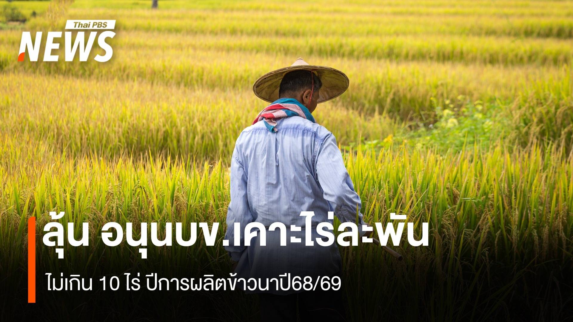 ลุ้น อนุนบข.เคาะไร่ละพัน ไม่เกิน 10 ไร่ ปีการผลิตข้าวนาปี68/69