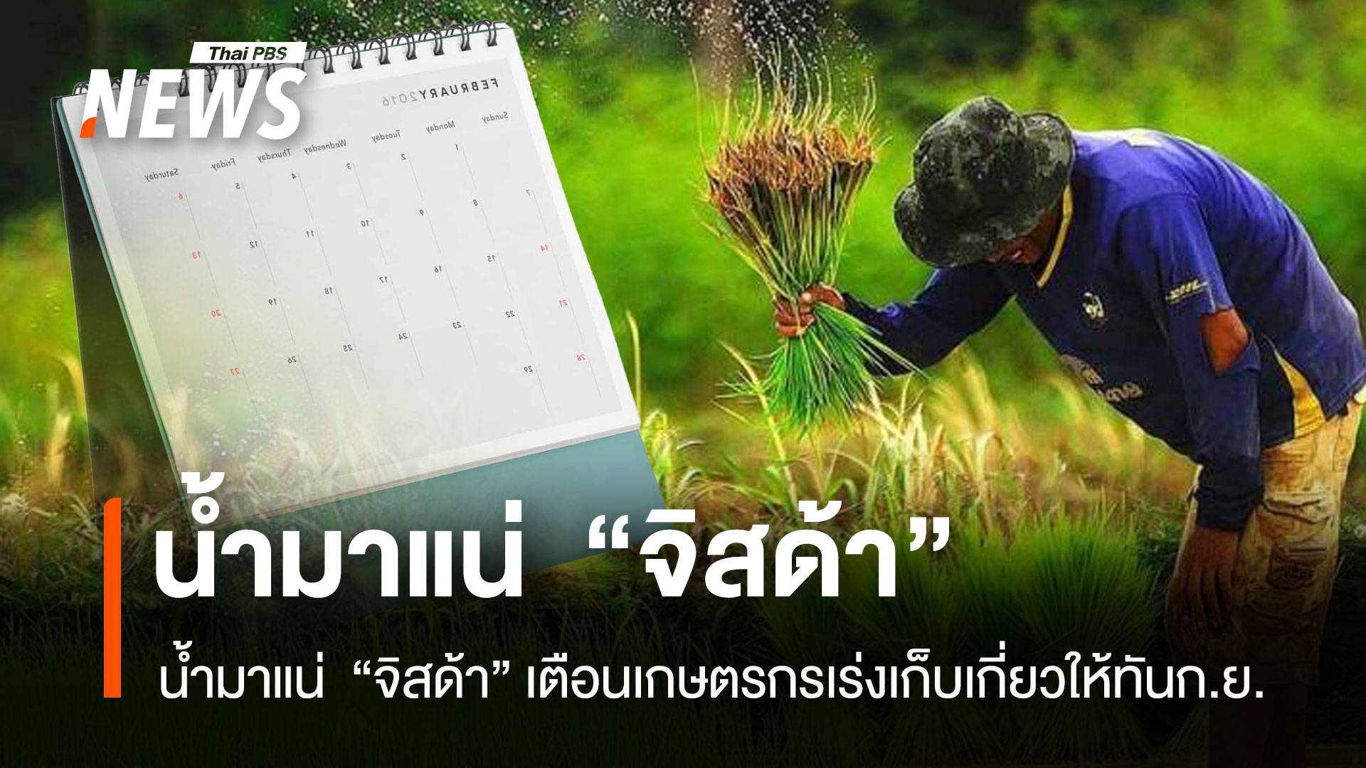 น้ำมาแน่ ! “จิสด้า” เตือนเกษตรกรเร่งเก็บเกี่ยวให้ทันก.ย.