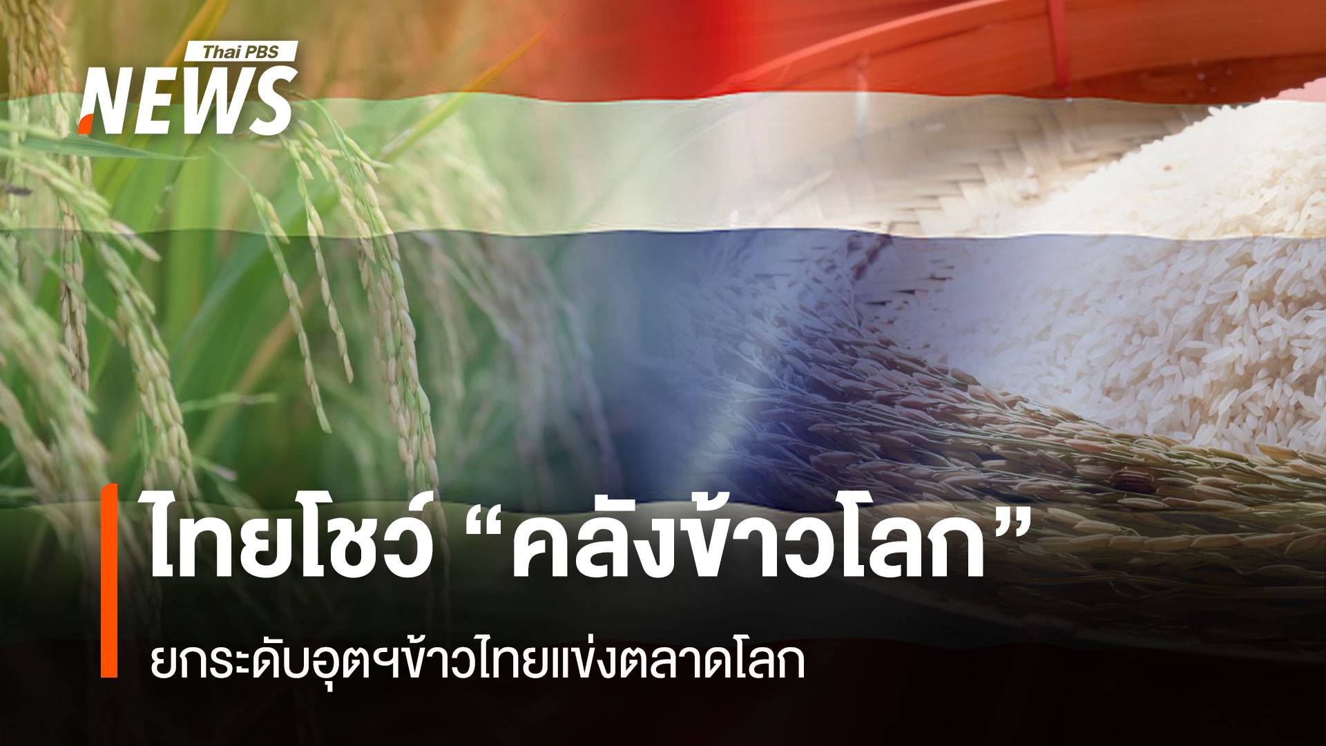 ไทยโชว์ “คลังข้าวโลก” ยกระดับอุตฯข้าวไทยแข่งตลาดโลก