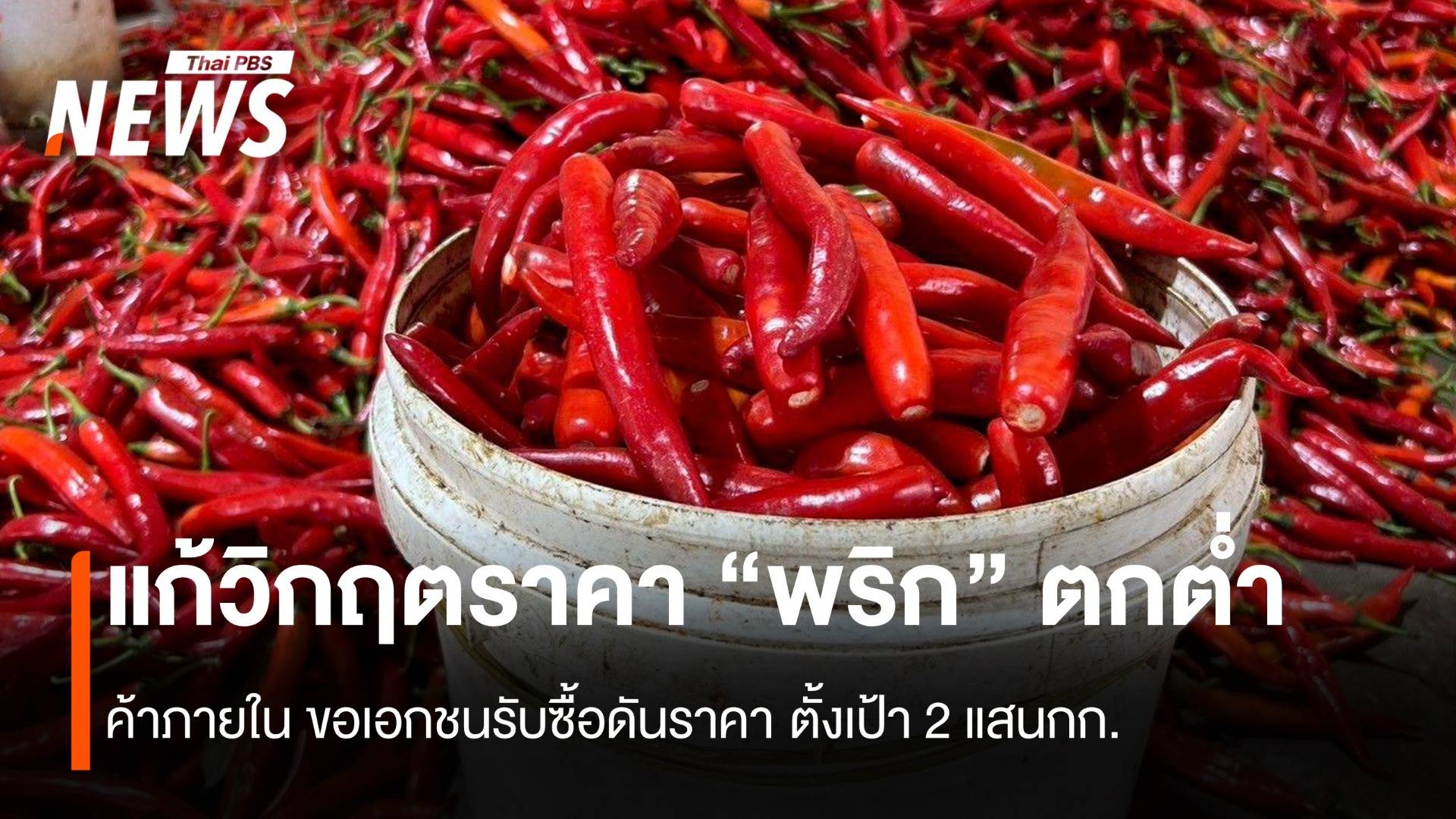 แก้วิกฤตราคา “พริก” ตกต่ำ ค้าภายใน ขอเอกชนรับซื้อ ตั้งเป้า 2 แสนกก.