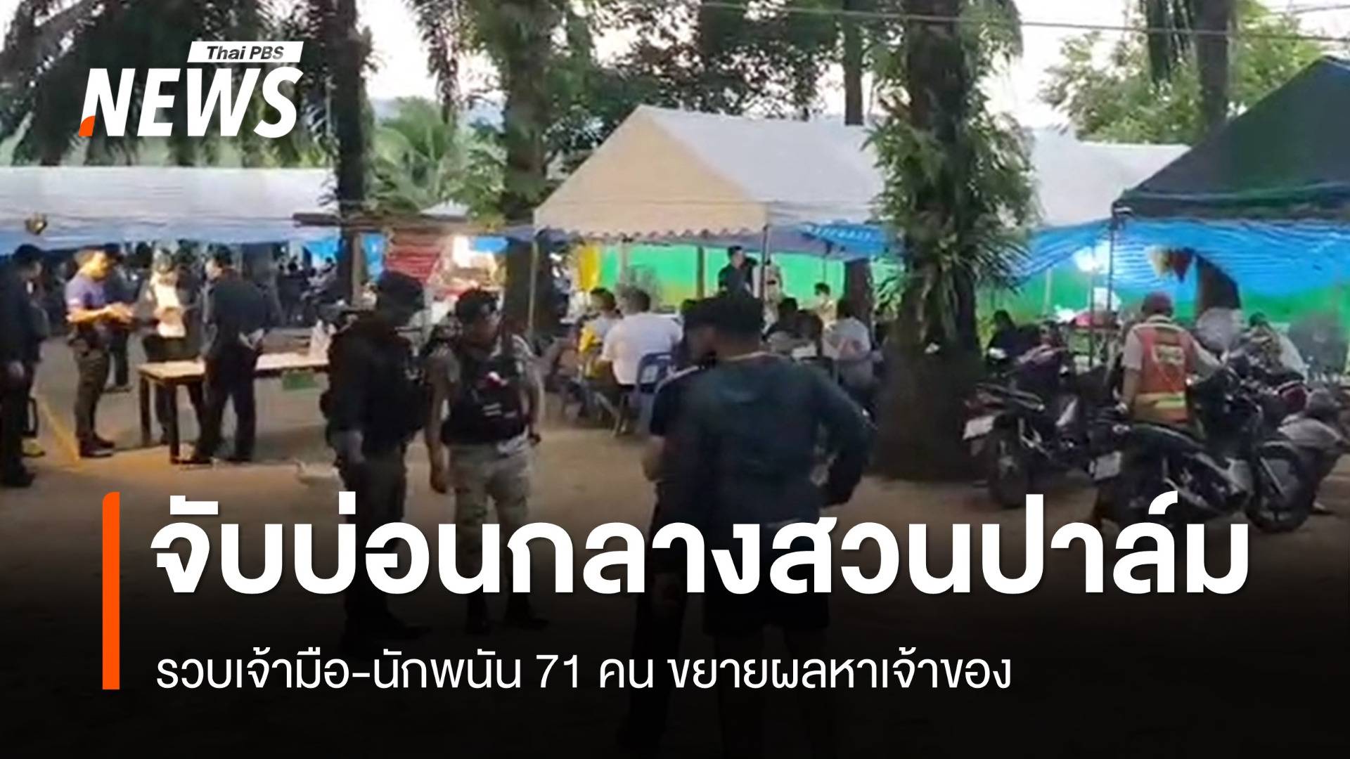 บุกจับบ่อนกลางสวนปาล์มกระบี่ รวบ 71 นักพนัน ขยายผลหาเจ้าของ