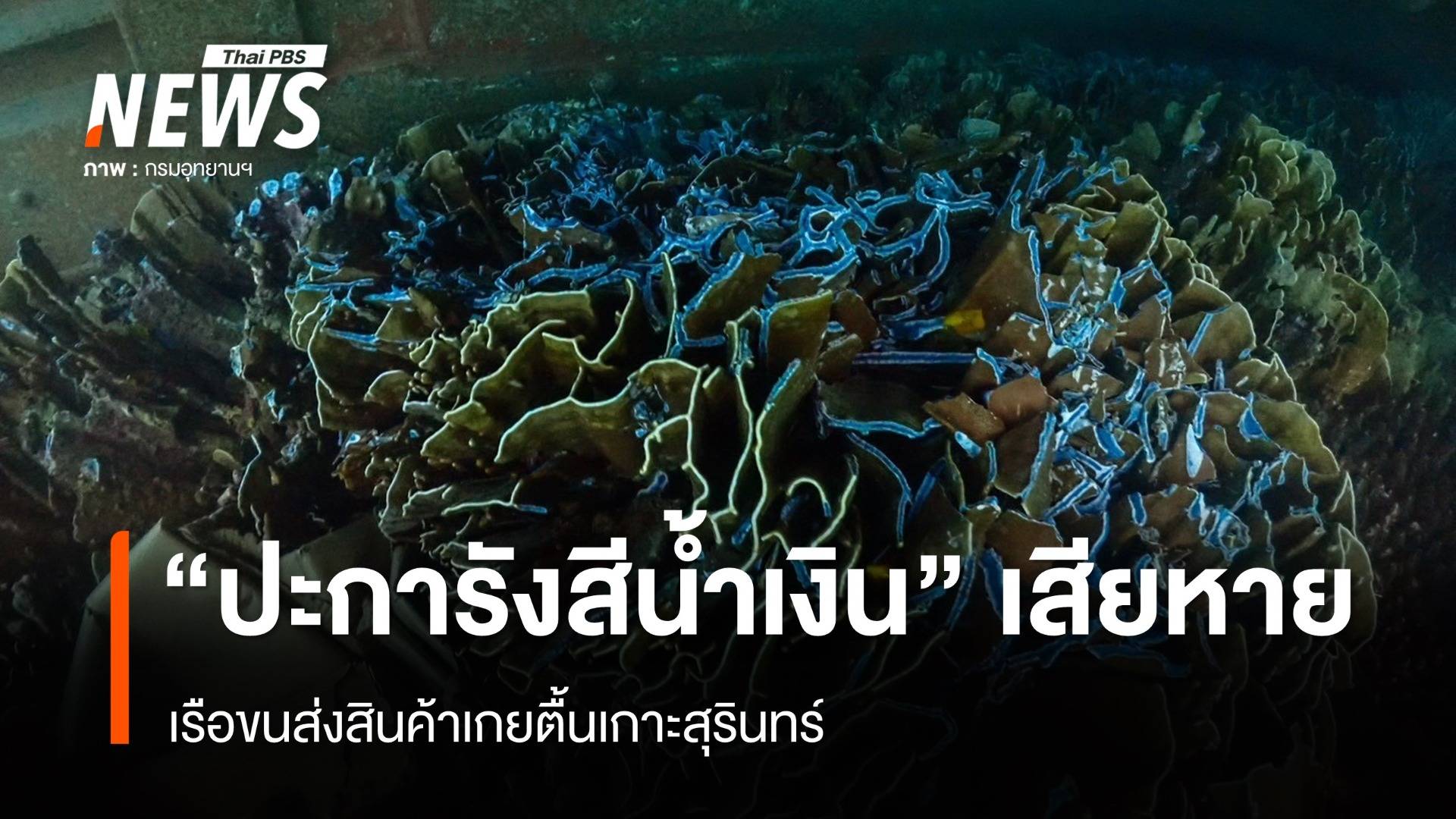 "ปะการังสีน้ำเงิน" เสียหายหนัก เหตุเรือส่งสินค้าเกยตื้นเกาะสุรินทร์