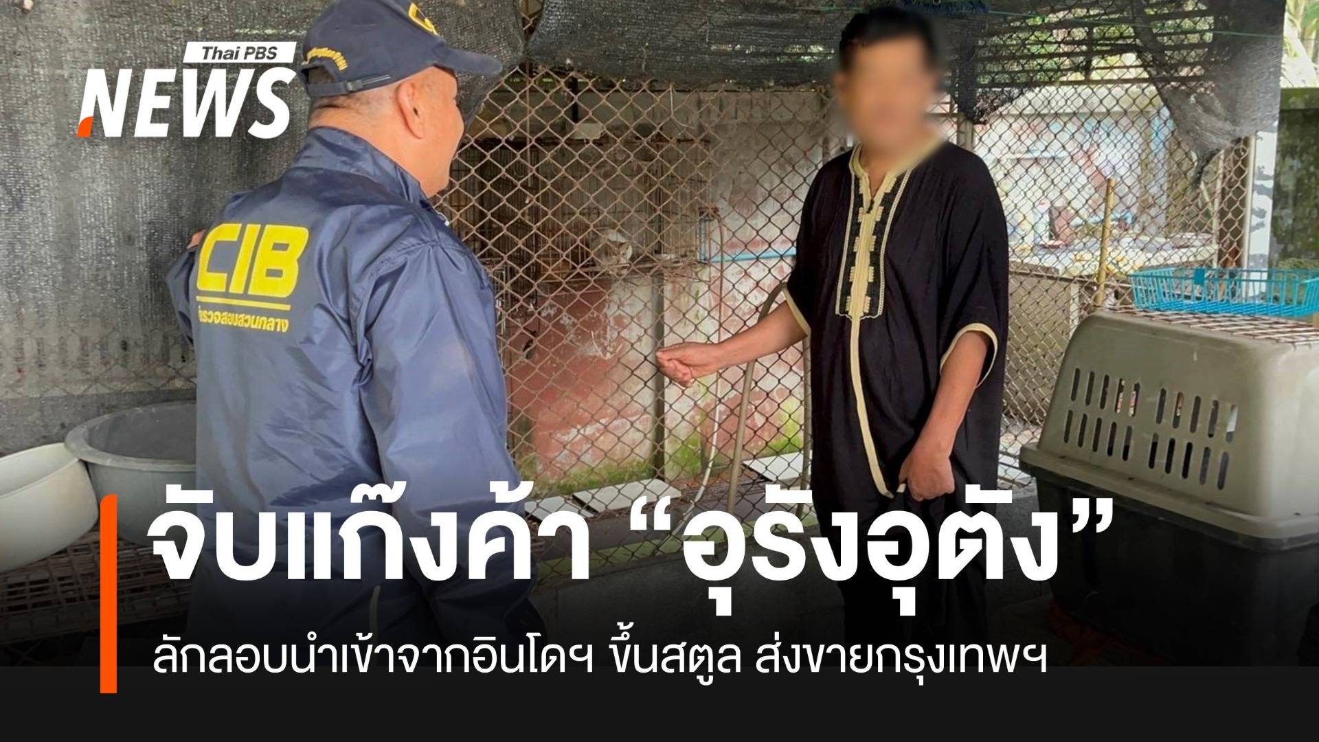 บก.ปทส.จับขบวนการค้า “ลิงอุรังอุตัง” จากอินโดฯ