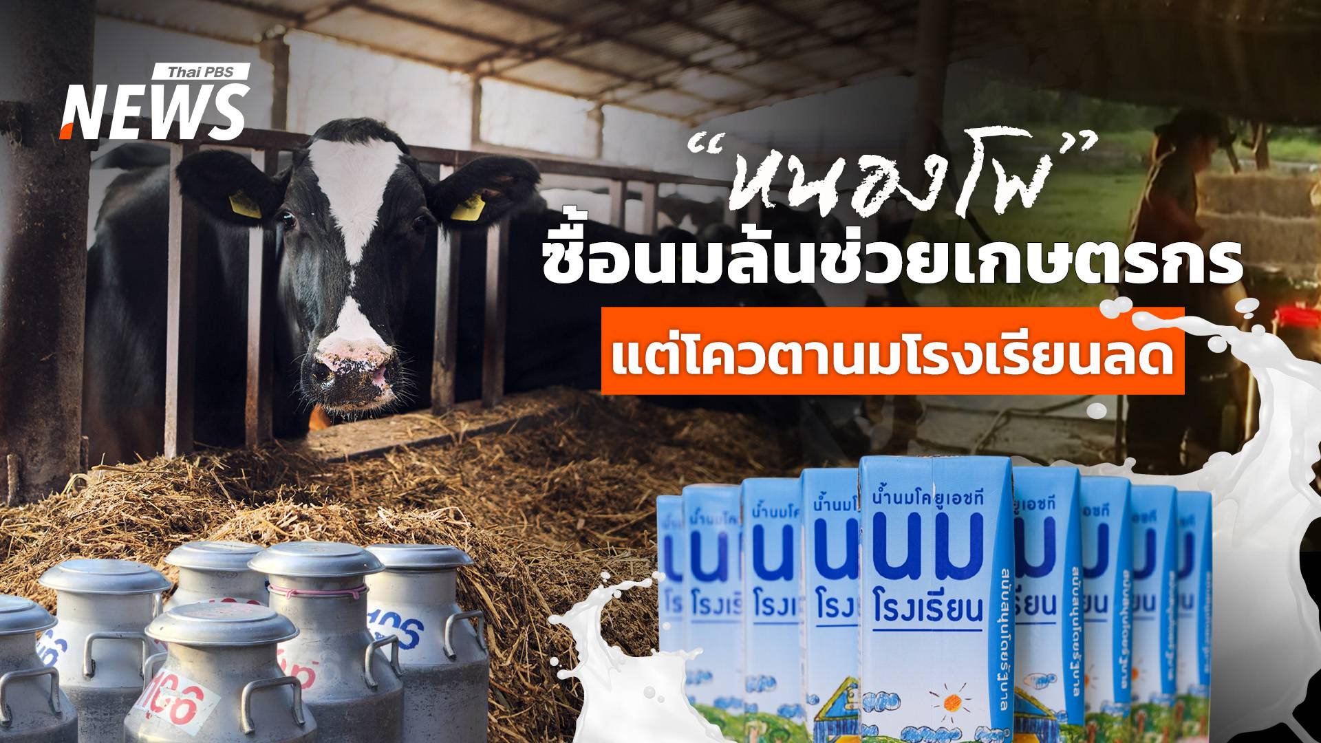 “สหกรณ์หนองโพฯ” ซื้อนมล้นช่วยเกษตรกร แต่โควตานมโรงเรียนลด