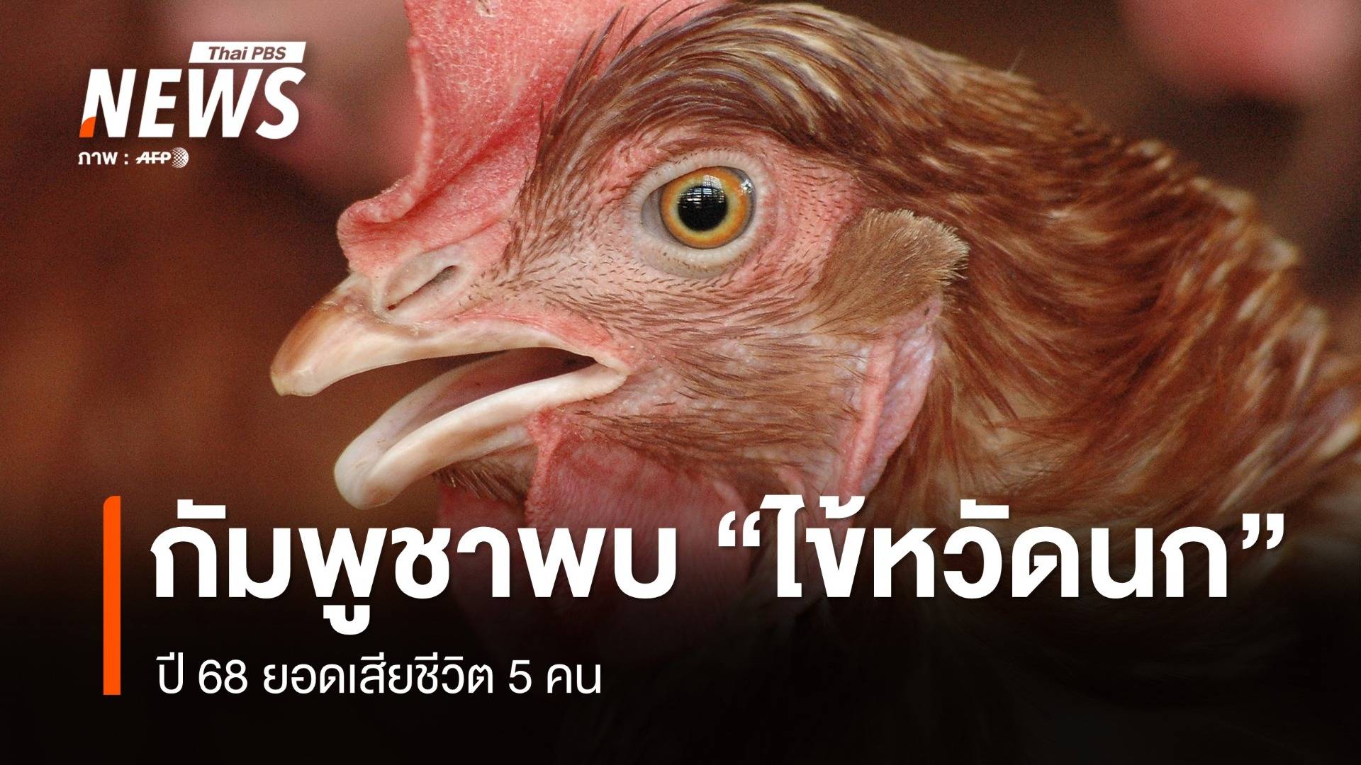กัมพูชา ป่วย "ไข้หวัดนก" ปี 68 เสียชีวิตแล้ว 5 คน