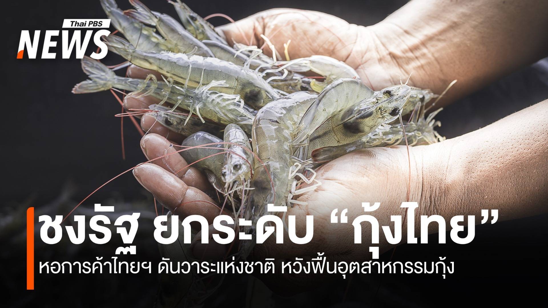 หอการค้าไทยฯ ชงรัฐ ยกระดับกุ้งไทย หวังฟื้นอุตสาหกรรมกุ้ง