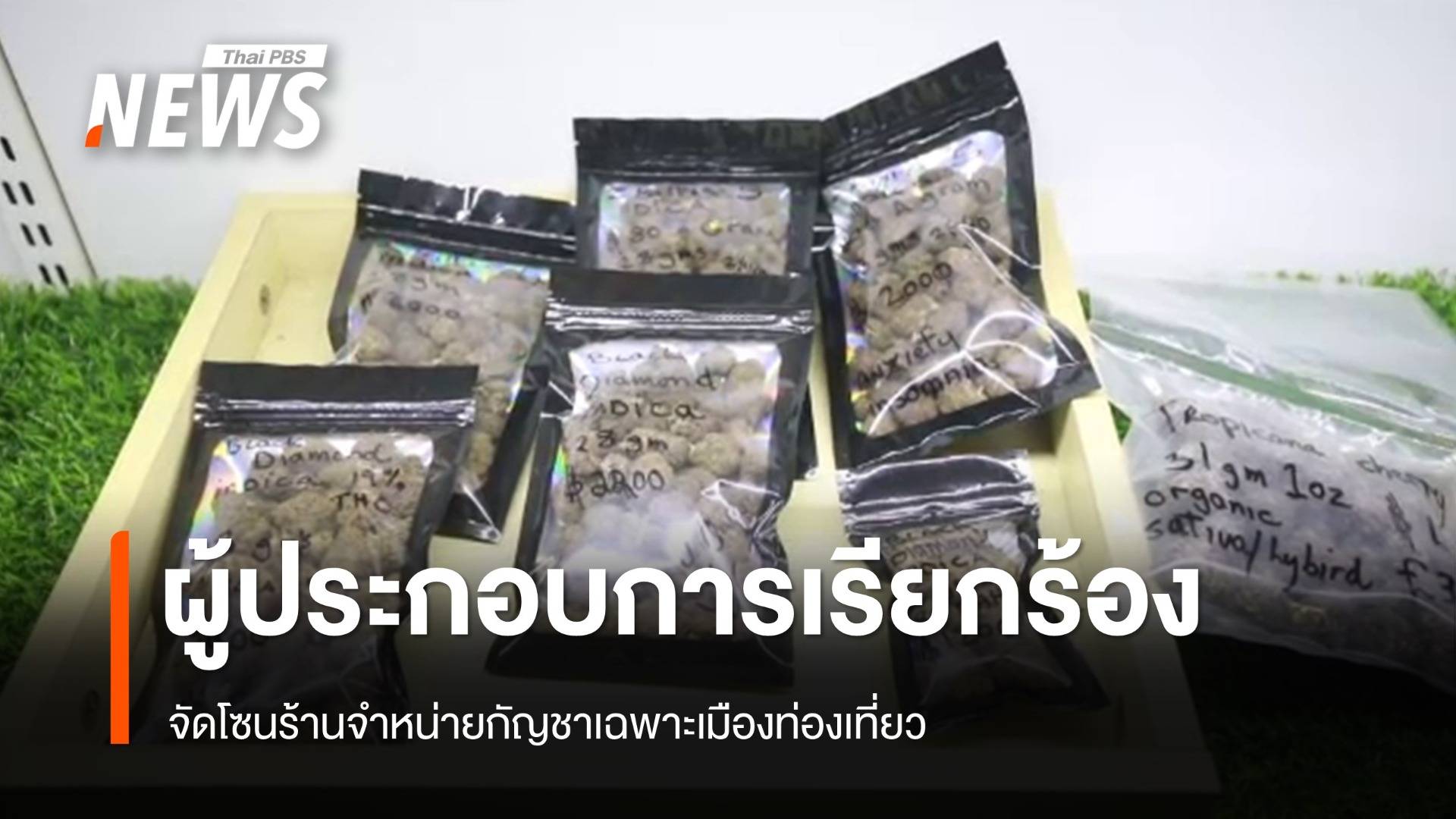 ผู้ประกอบการเรียกร้องจัดโซนร้านกัญชาเมืองท่องเที่ยว