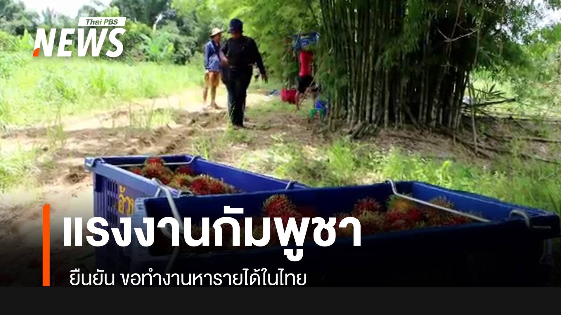 แรงงานกัมพูชา ยืนยันขอทำงานหารายได้ในไทย