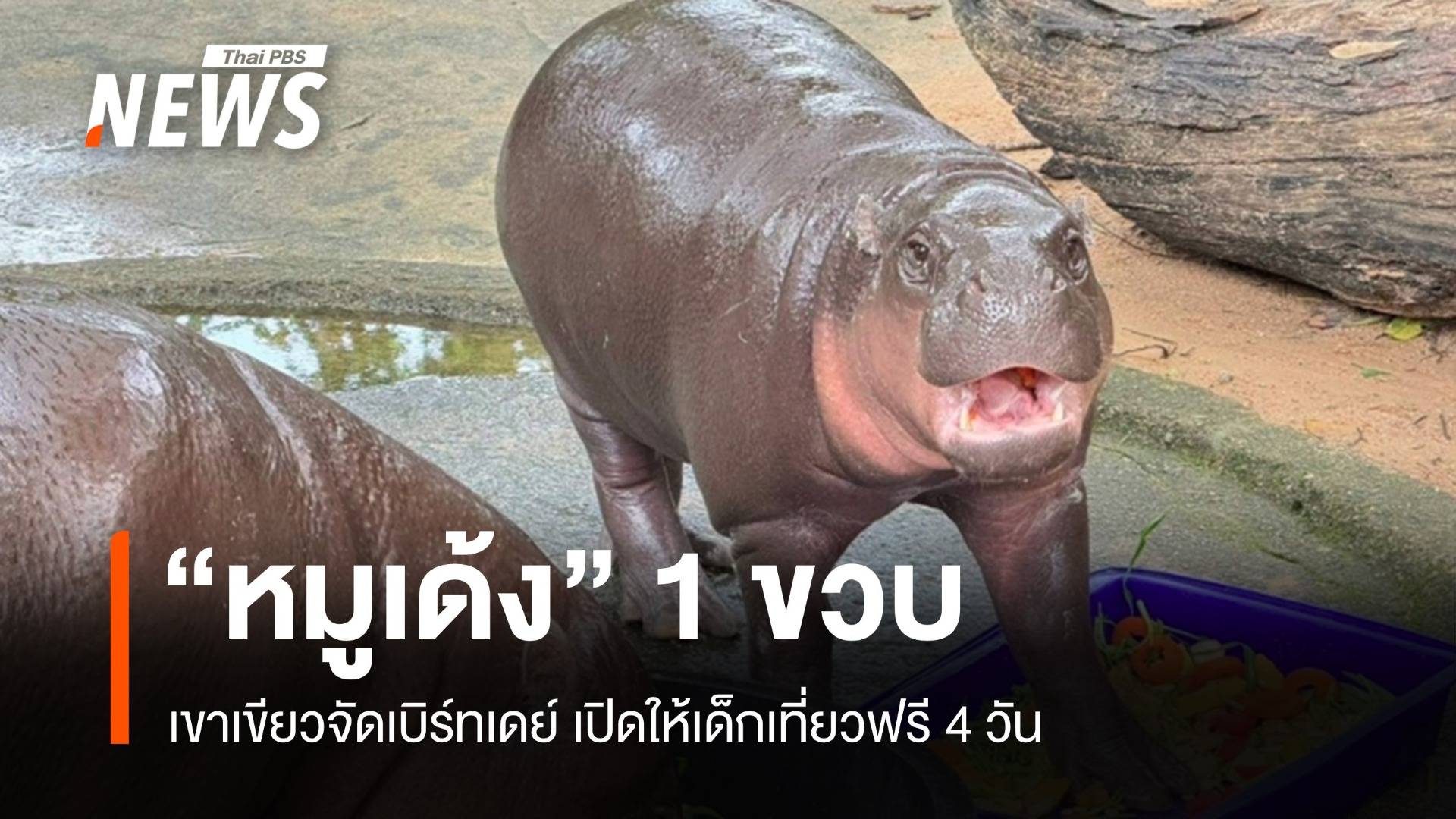 เขาเขียวจัดเบิร์ทเดย์ "หมูเด้ง" ครบ 1 ขวบ ให้เด็กเที่ยวฟรี 4 วัน