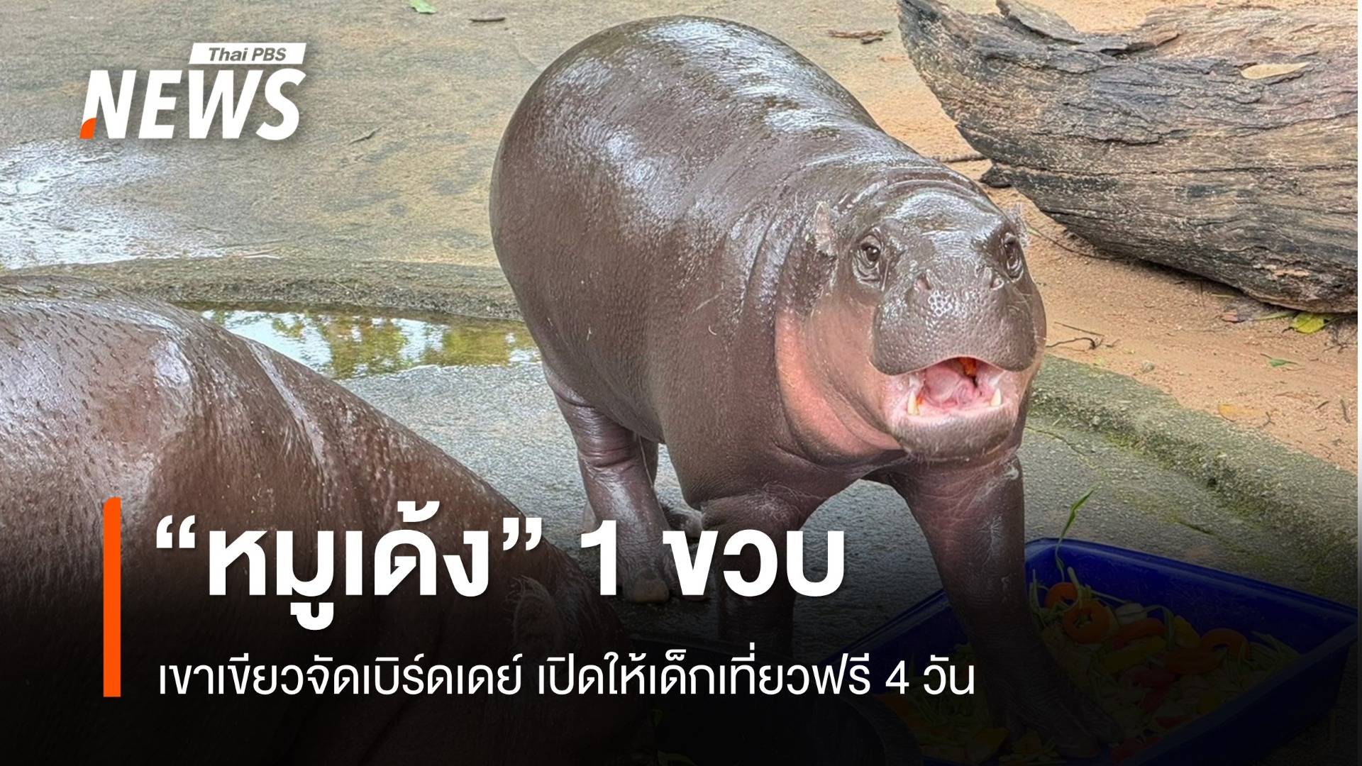 เขาเขียวจัดเบิร์ดเดย์ "หมูเด้ง" ครบ 1 ขวบ ให้เด็กเที่ยวฟรี 4 วัน