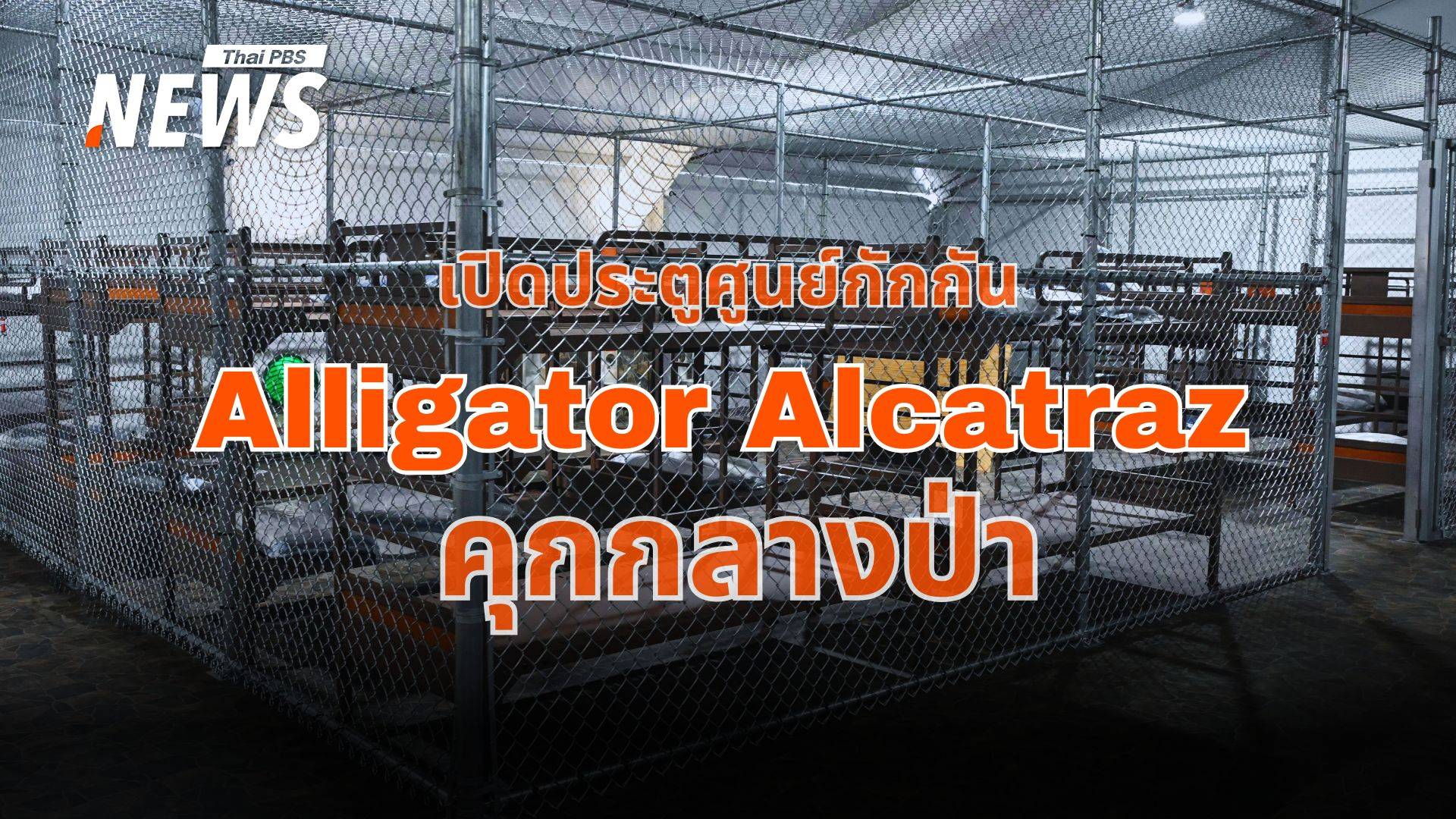เปิดประตูคุก Alligator Alcatraz เมื่อทรัมป์ใช้อัลลิเกเตอร์เป็นผู้คุม