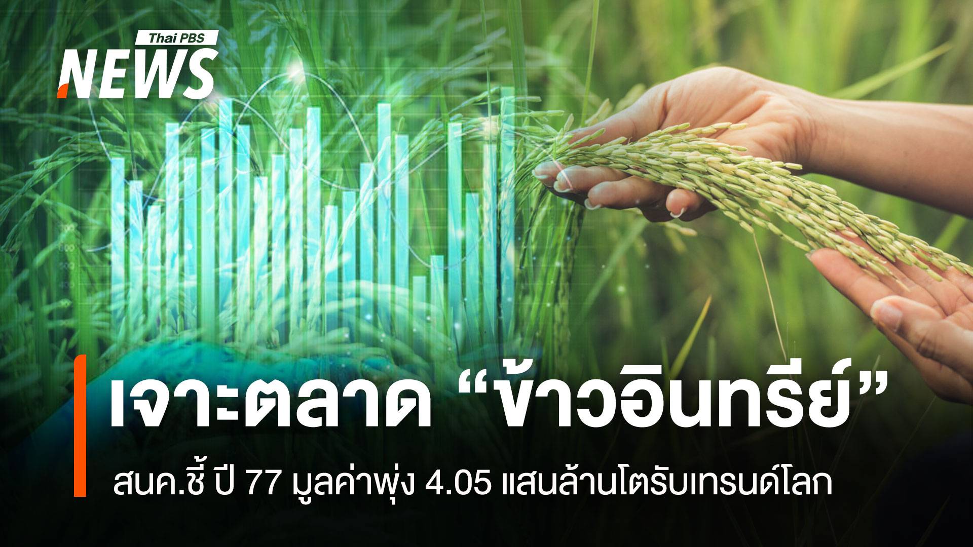 เจาะตลาด“ข้าวอินทรีย์” สนค.ชี้ปี 77 มูลค่าพุ่ง 4.05 แสนล้าน โตรับเทรนด์โลก