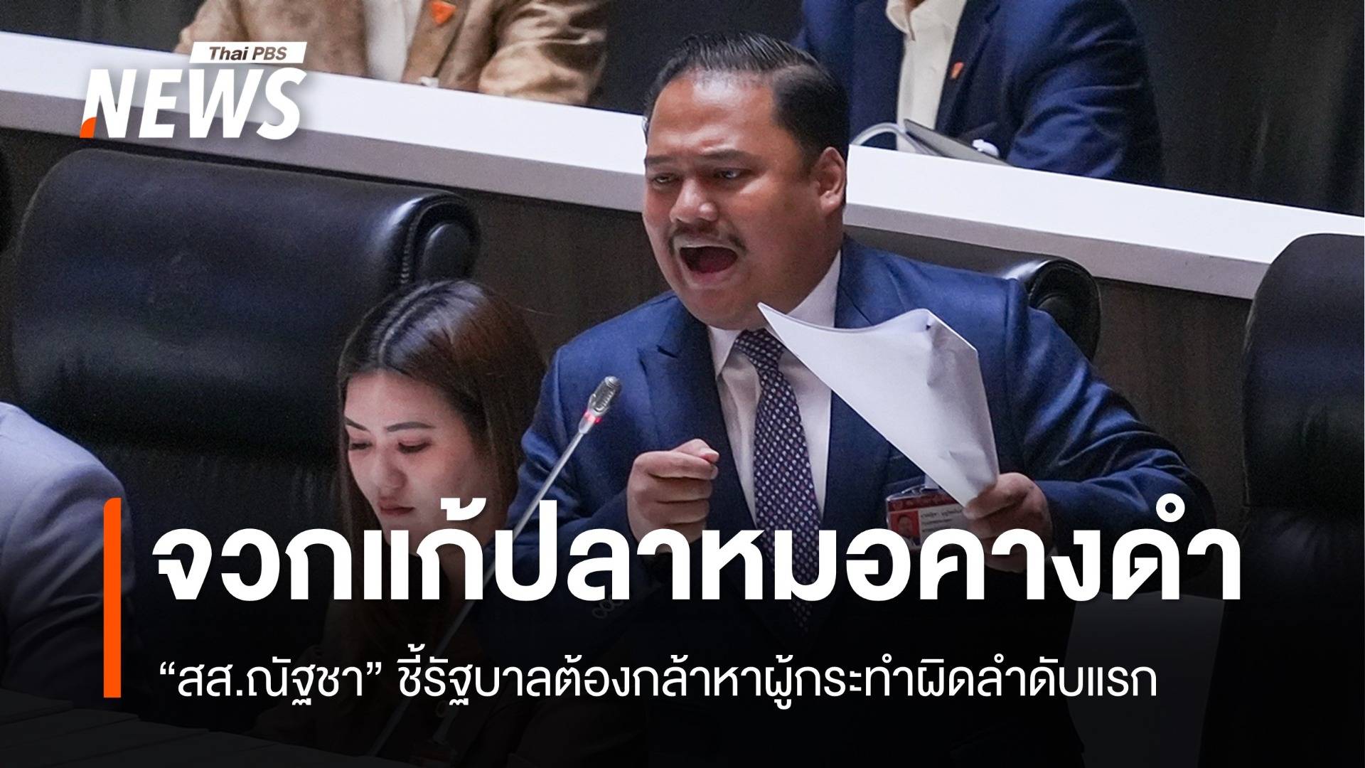 "สส.ณัฐชา" จวกรัฐแก้ "ปลาหมอคางดำ" ต้องกล้าหาคนทำผิดลำดับแรก