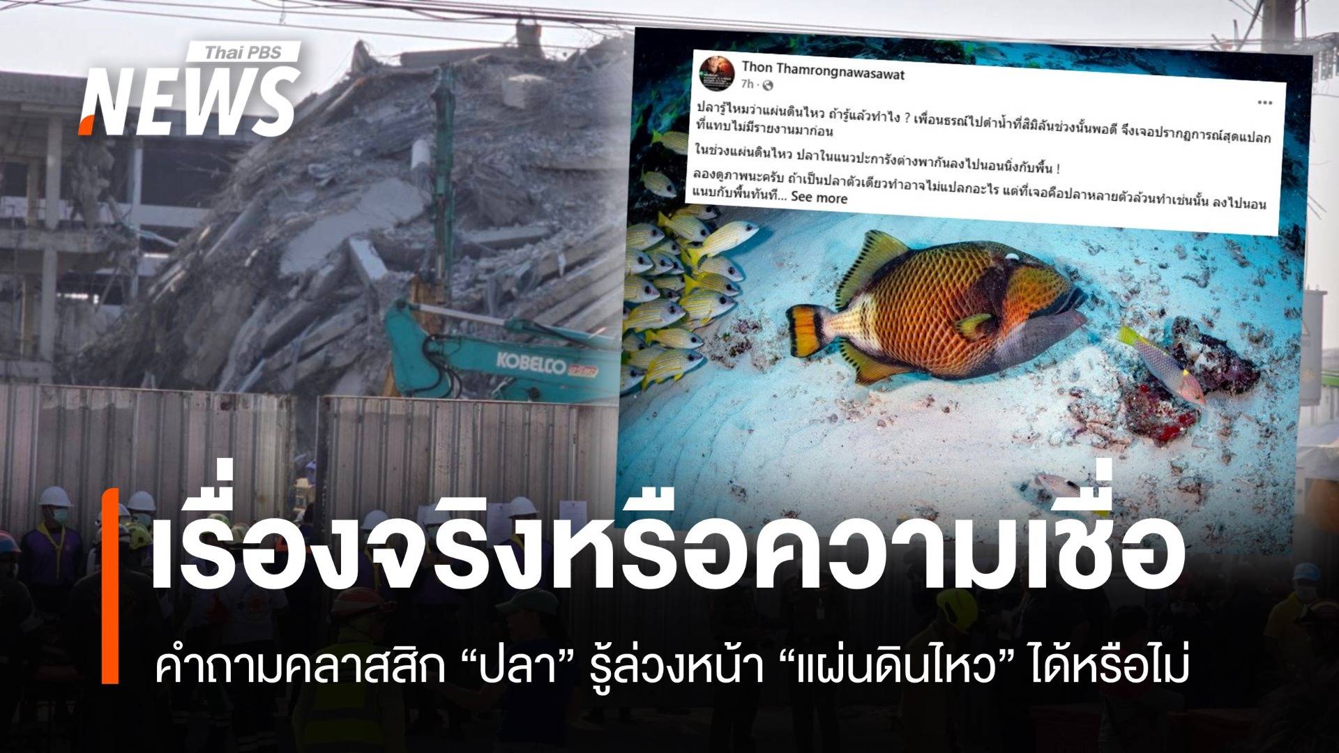 ยังคลุมเครือ! ปลารู้ล่วงหน้า "แผ่นดินไหว" เรื่องจริงหรือความเชื่อ ?