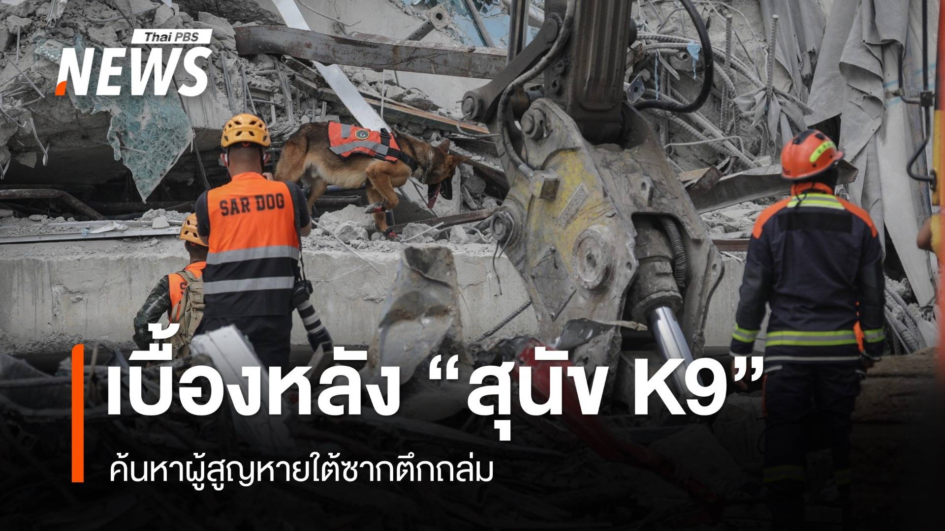 เบื้องหลัง "สุนัข K9" ค้นหาผู้สูญหายใต้ซากตึกถล่ม