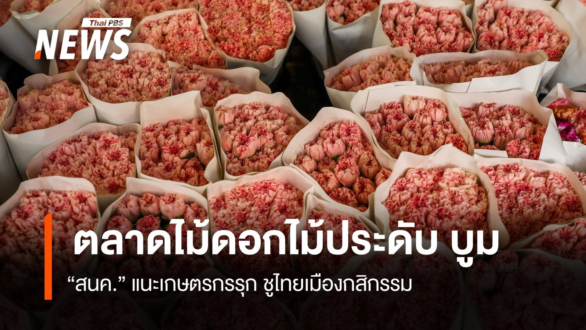 ตลาดไม้ดอกไม้ประดับบูม แนะเกษตรกรไทยรุก ชูไทยเมืองกสิกรรม