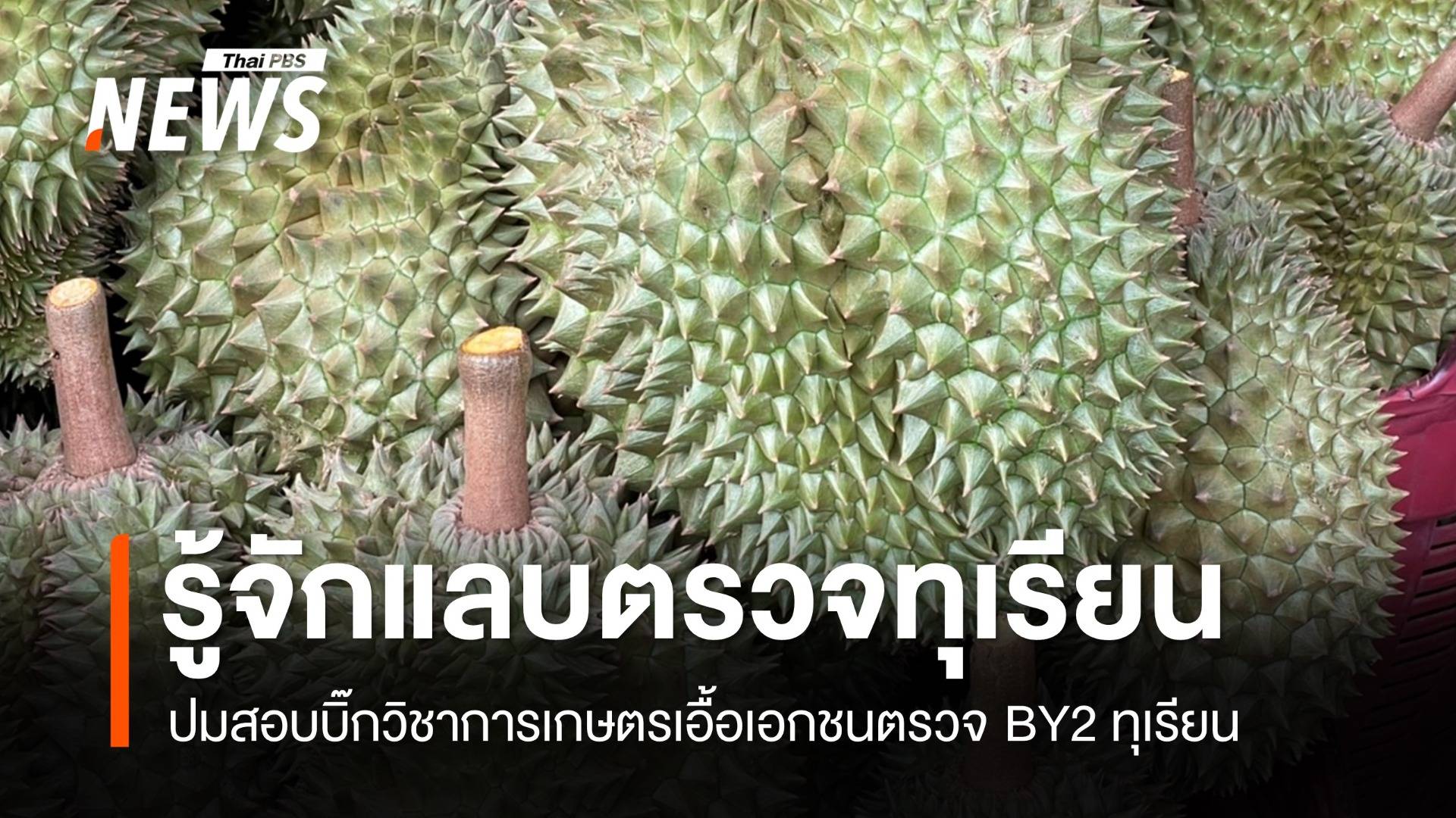 ใครบ้างอยู่ในบริษัทรับงานตรวจ BY2 ทุเรียน ปมสอบอธิบดีเกษตร