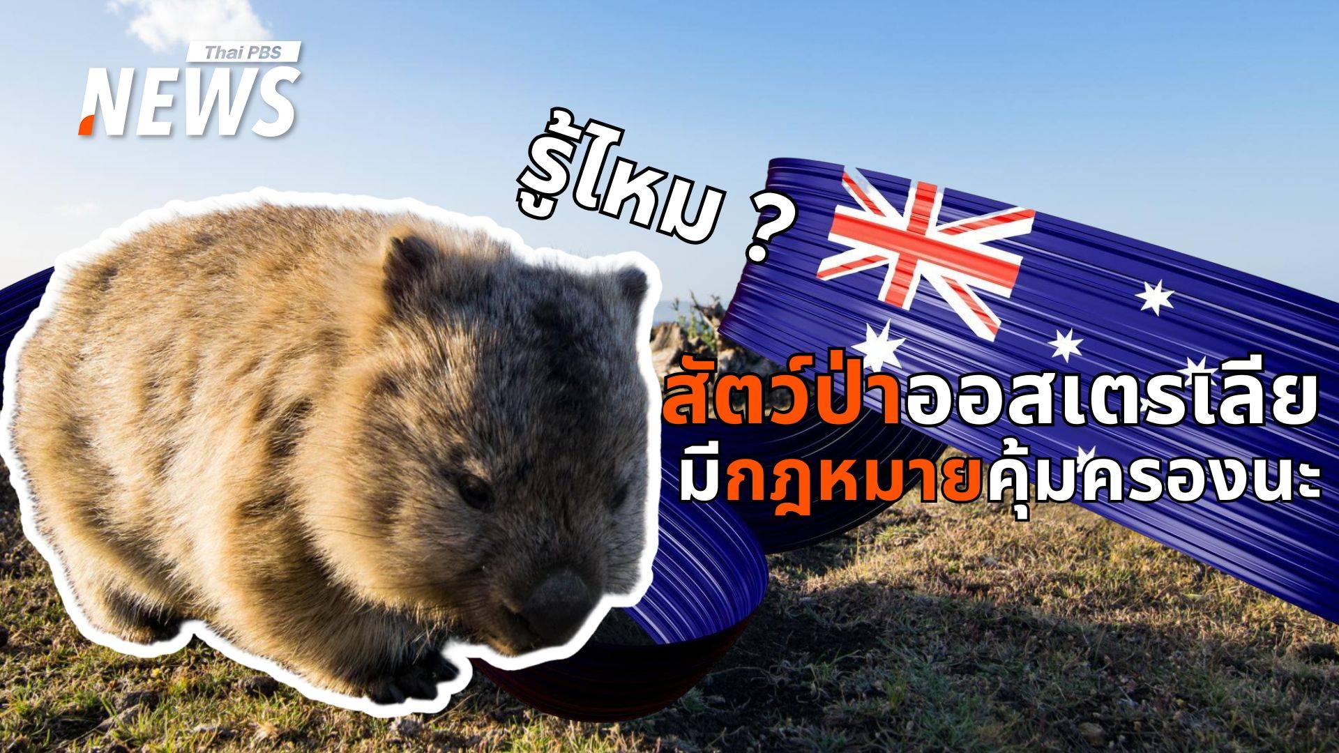 เปิดเหตุผล ทำไมออสเตรเลียปกป้องสัตว์ท้องถิ่นเข้มจนโลกตะลึง ?