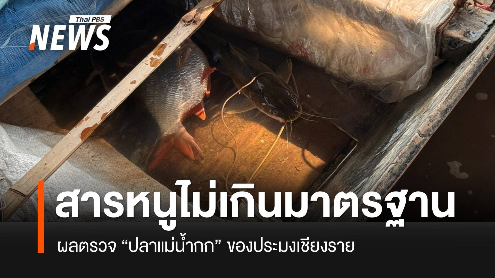 ผลตรวจออกแล้ว “ปลาน้ำกก” สารหนูไม่เกินค่ามาตรฐาน