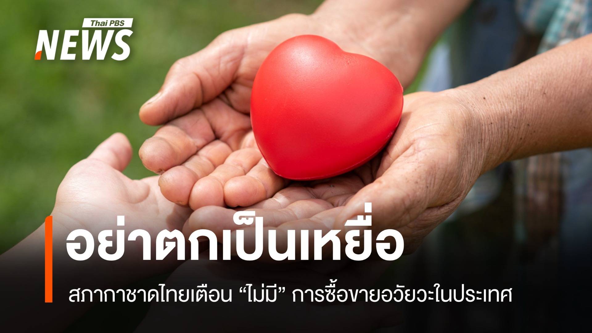 กาชาดยืนยัน "ไม่มีซื้อขายอวัยวะ" ชี้ข่าวลวงทำผู้บริจาคกังวล