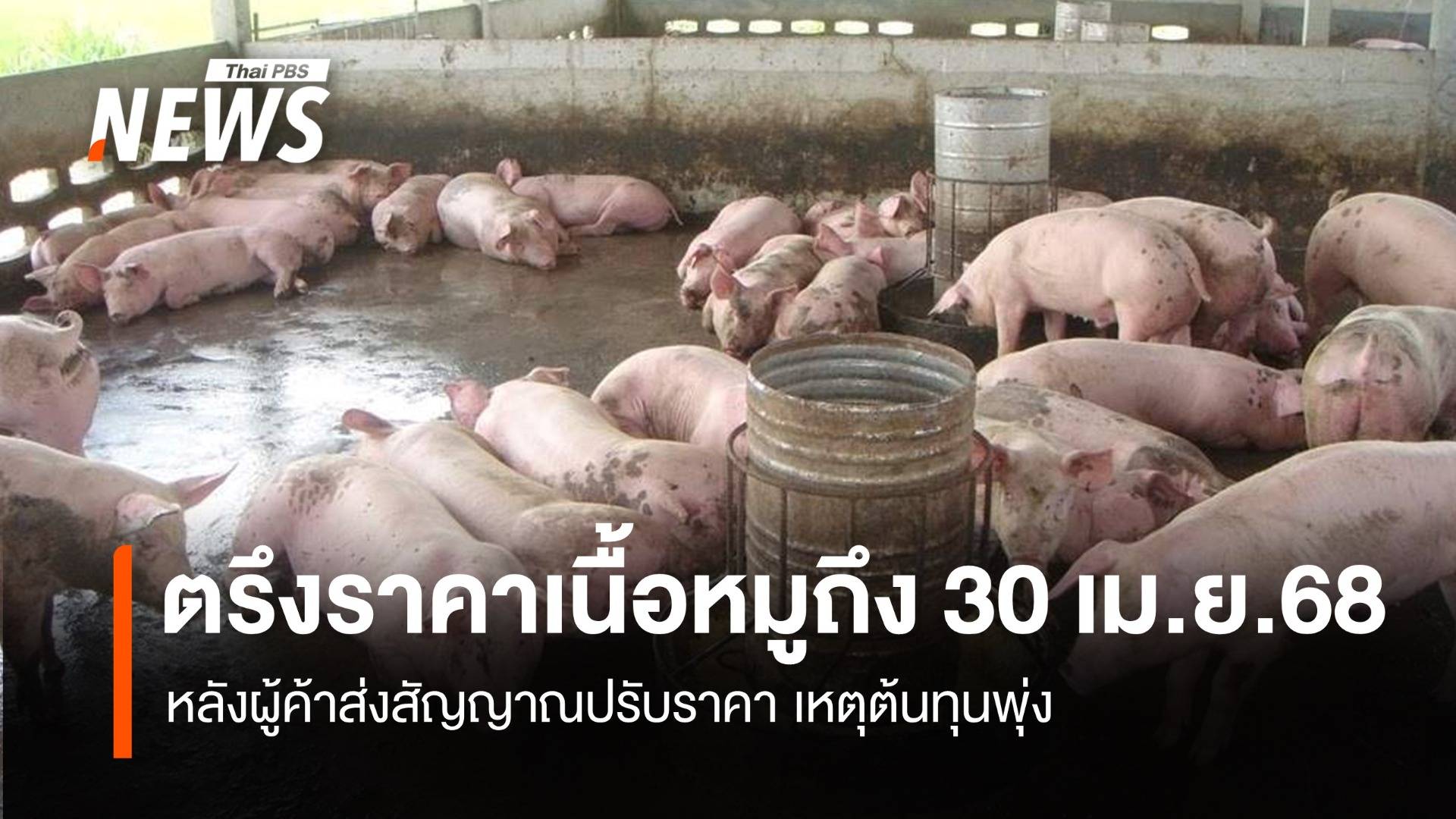 ตรึงราคาเนื้อหมูถึง 30 เม.ย. หลังผู้ค้าส่งสัญญาณปรับราคา เหตุต้นทุนพุ่ง