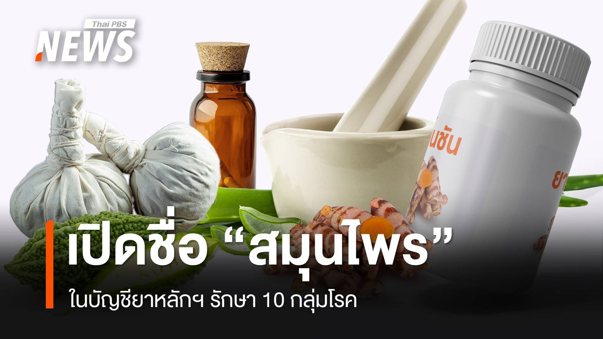 เปิดชื่อ "สมุนไพร" ในบัญชียาหลักฯ รักษา 10 กลุ่มโรค