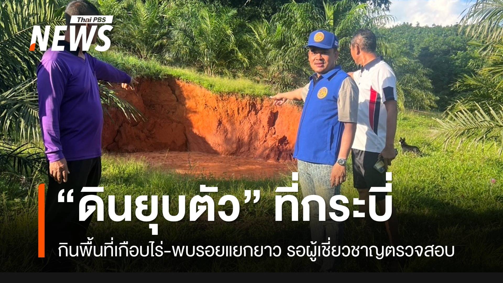 “กระบี่” ผวา “ดินยุบตัว” ขนาดใหญ่ กินเนื้อที่เกือบไร่ รอเจ้าหน้าที่ตรวจสอบวันนี้