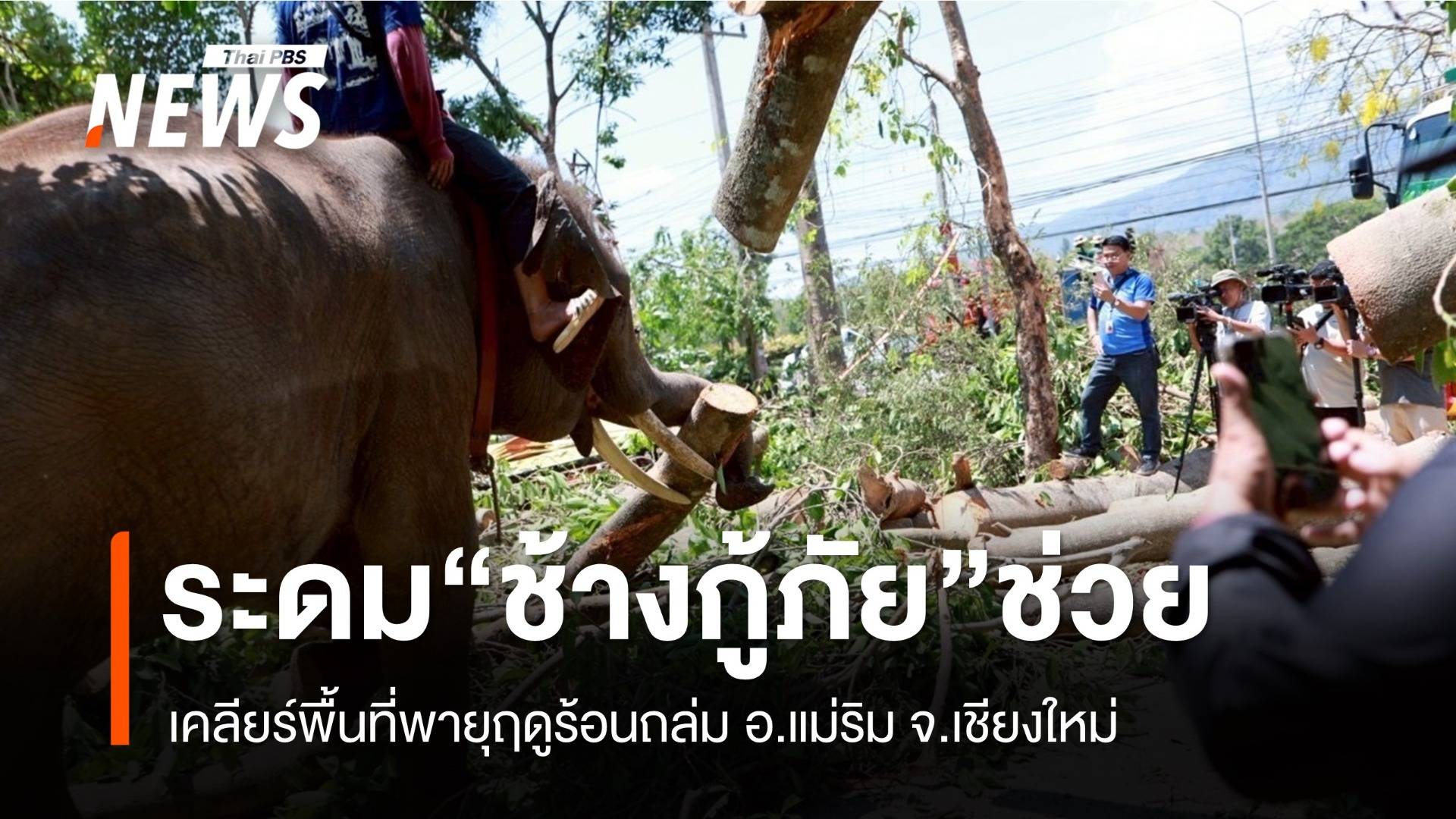 ระดม “ช้างกู้ภัย” เคลียร์พื้นที่ อ.แม่ริม หลังพายุฤดูร้อนถล่ม