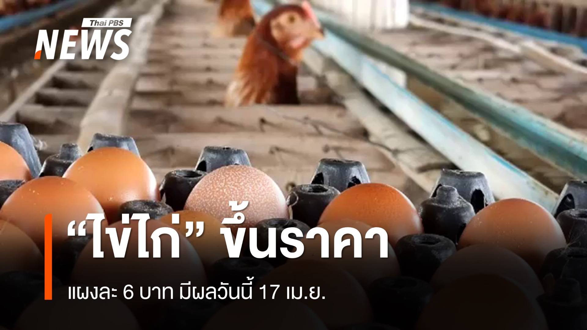 "ไข่ไก่" หน้าฟาร์ม ขึ้นแผงละ 6 บาท มีผลวันนี้ 17 เม.ย.